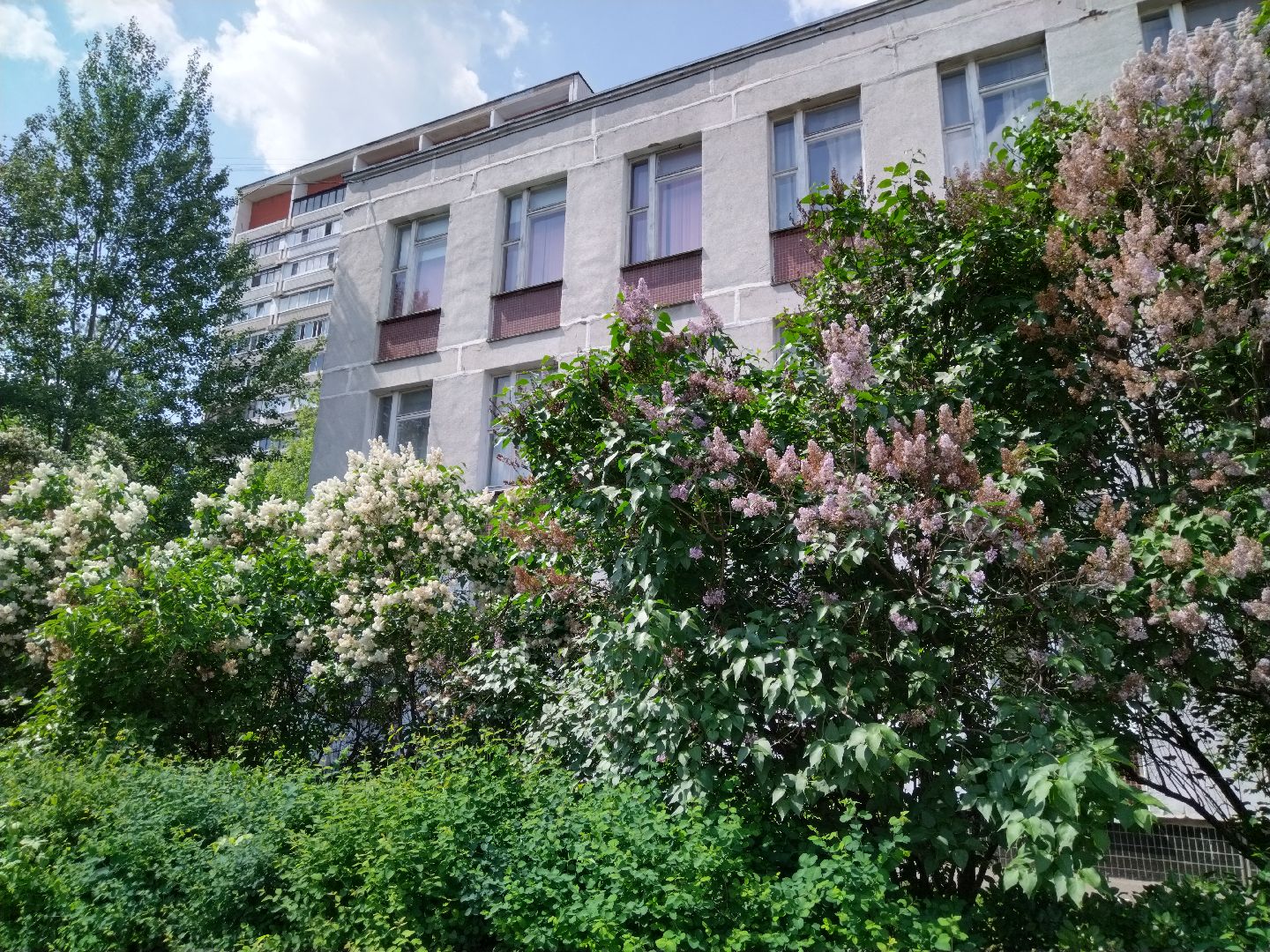 ЕГЭ, Мытищи, Образование