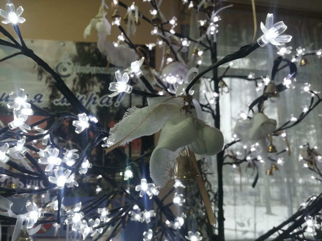 Протвино, общество