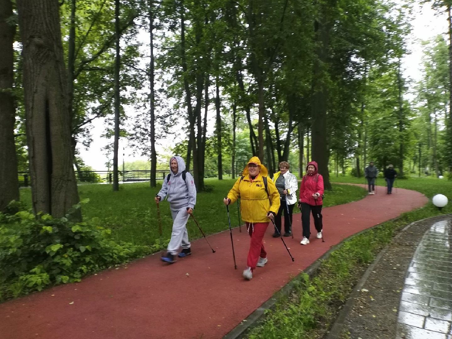 спорт, северная ходьба, активное долголетие, Лосино-Петровский