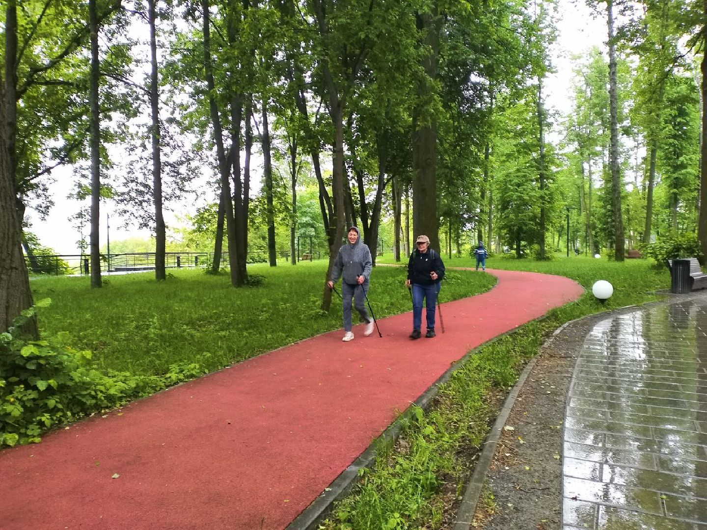 спорт, северная ходьба, активное долголетие, Лосино-Петровский