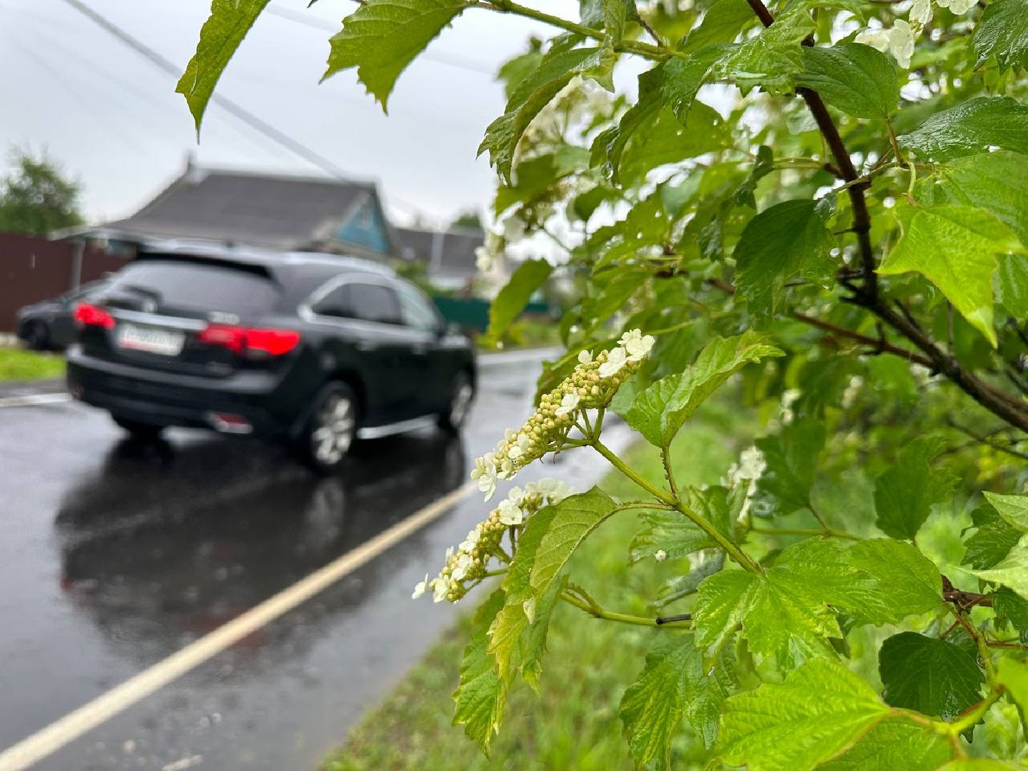 Можайск, Можайский городской округ, Подмосковье, дороги, ремонт дорог, Добродел, голосование, жители