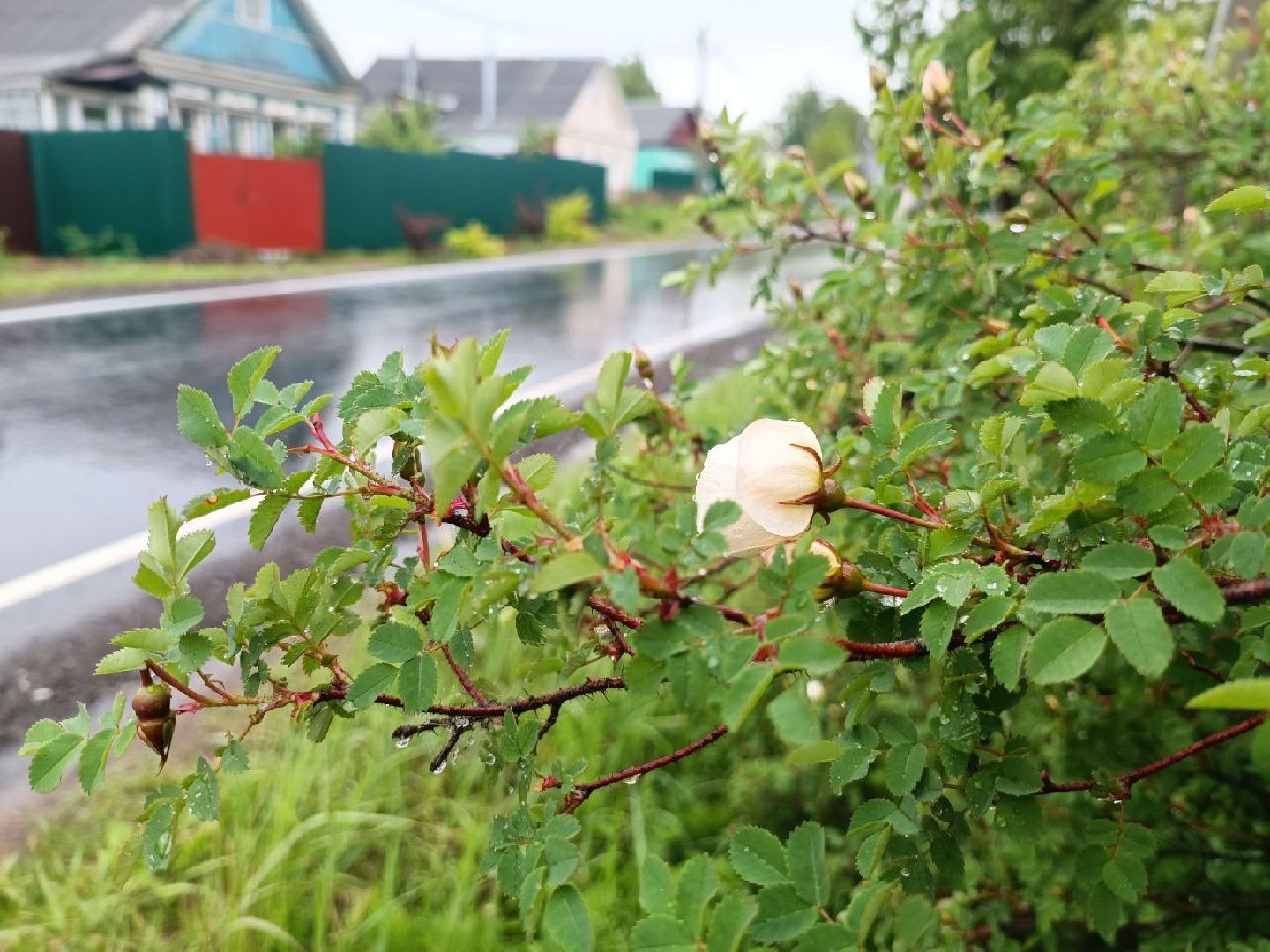 Можайск, Можайский городской округ, Подмосковье, дороги, ремонт дорог, Добродел, голосование, жители