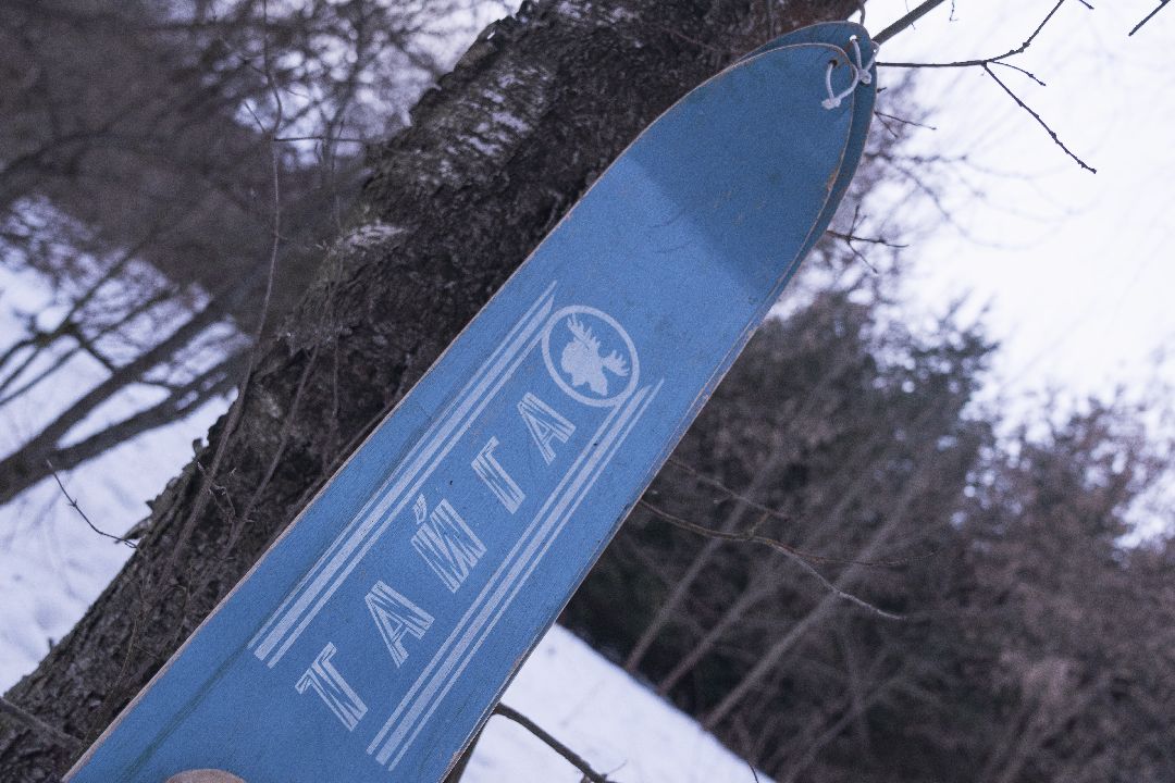 Домодедово, спорт