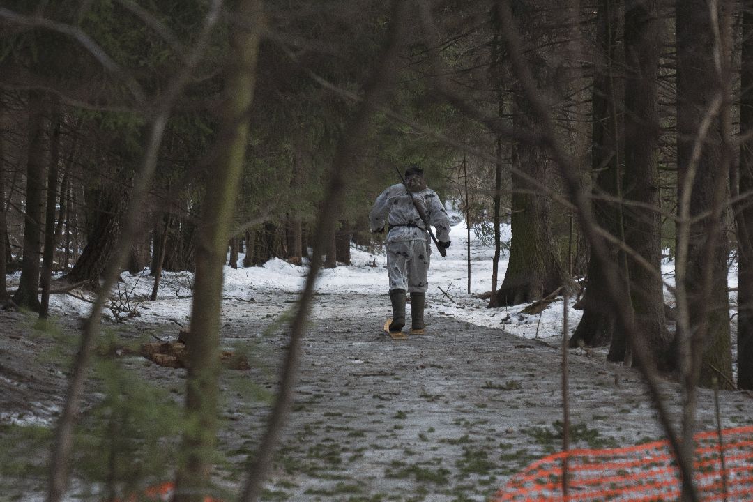 Домодедово, спорт