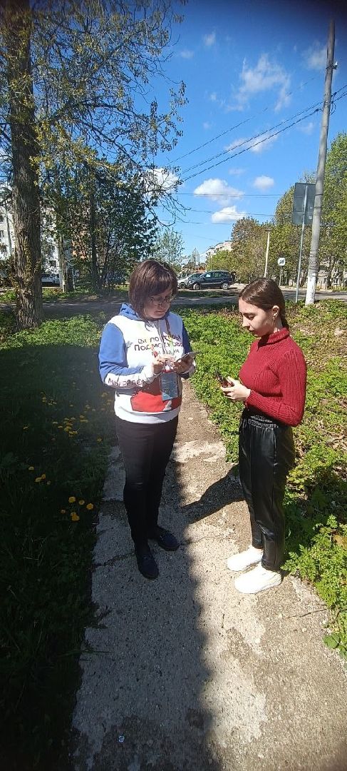 Кашира, благоустройство, голосование, волонтёры