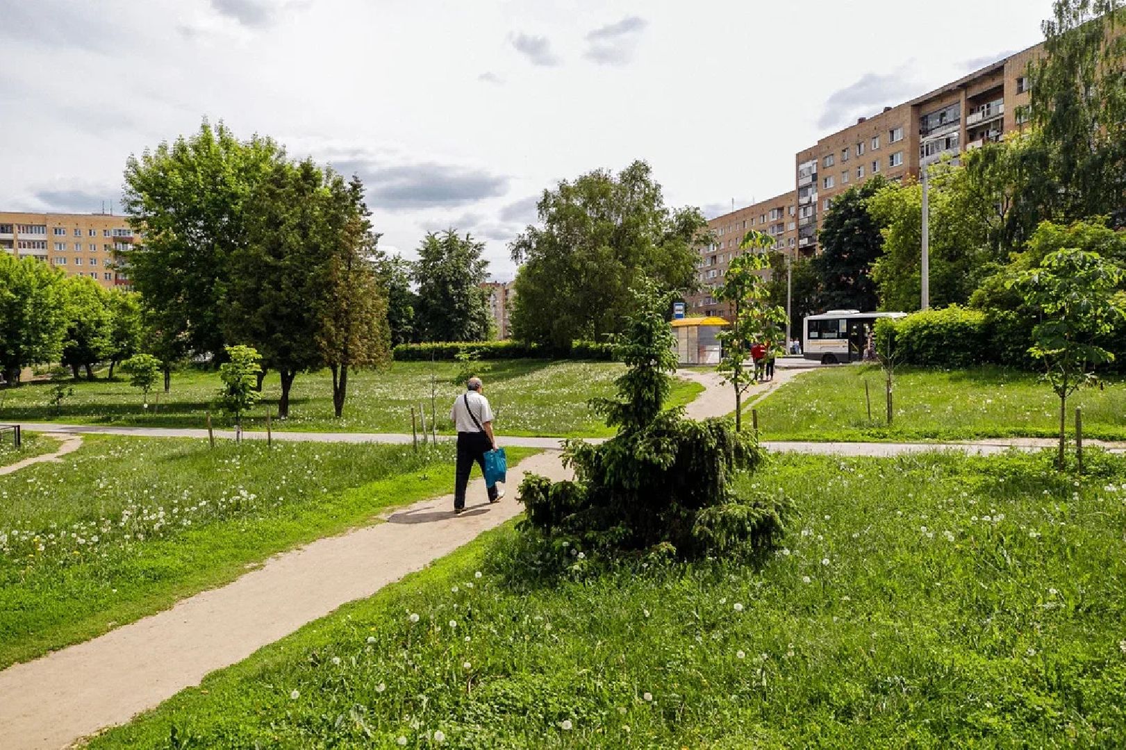 Благоустройство, сквер, Орехово-Зуево, Жилье и городская среда, онлайн голосование