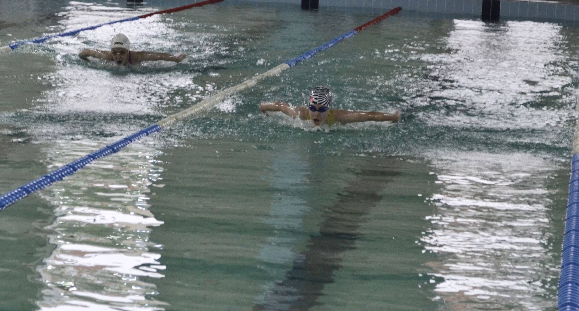 Балашиха, Подмосковье, спорт, плавание, соревнования