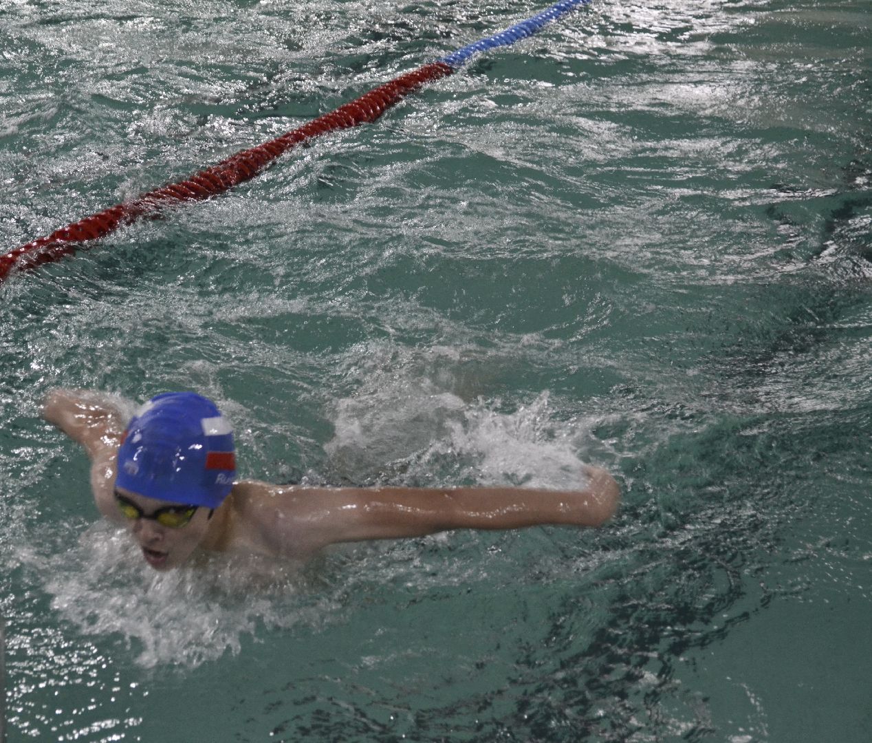 Балашиха, Подмосковье, спорт, плавание, соревнования