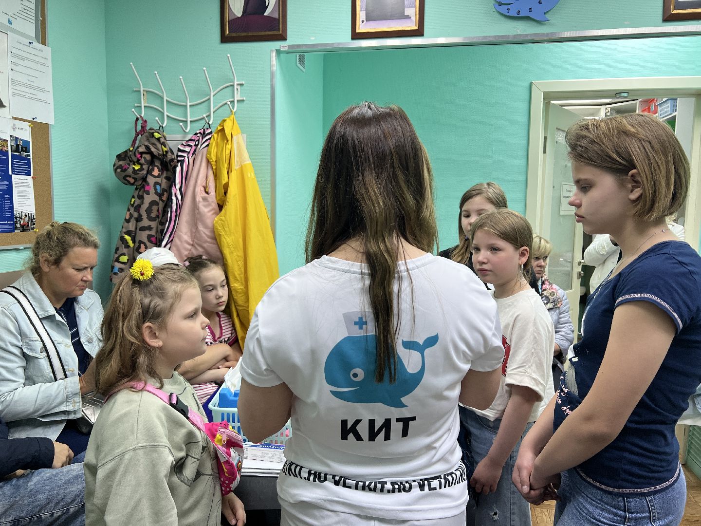 Химки, общество, ветеринар, домашнее животное, ветклиника