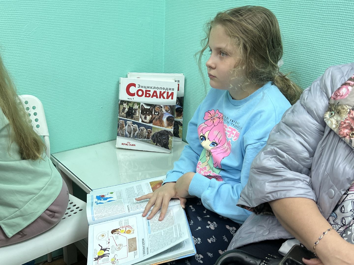 Химки, общество, ветеринар, домашнее животное, ветклиника