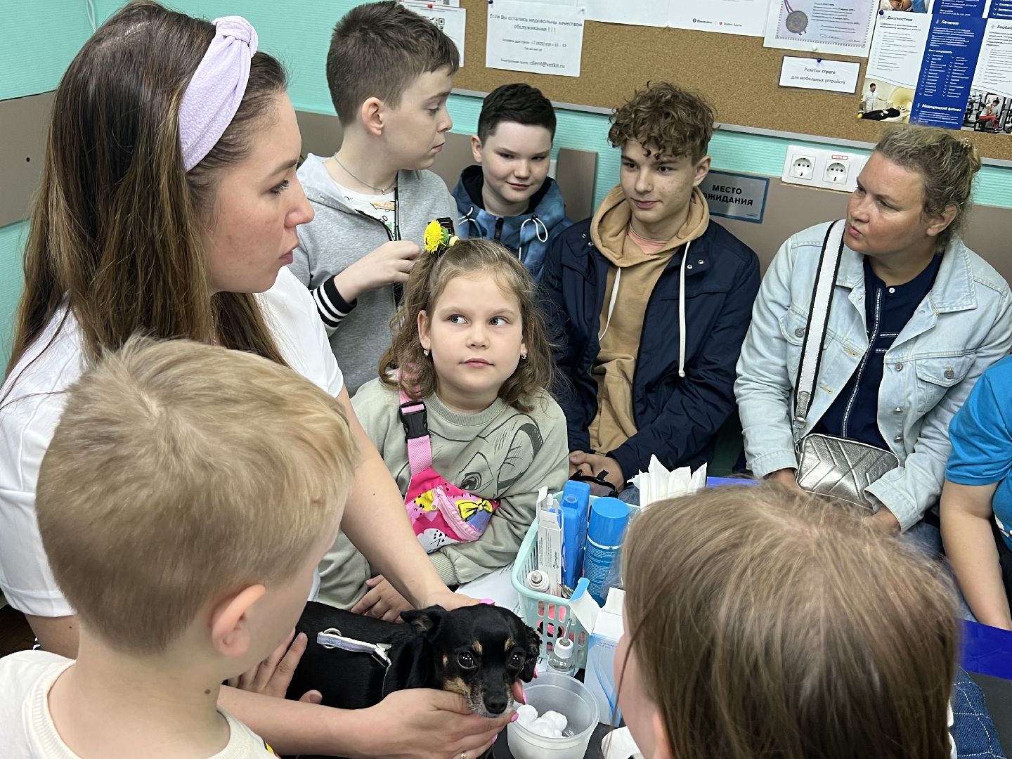 Химки, общество, ветеринар, домашнее животное, ветклиника