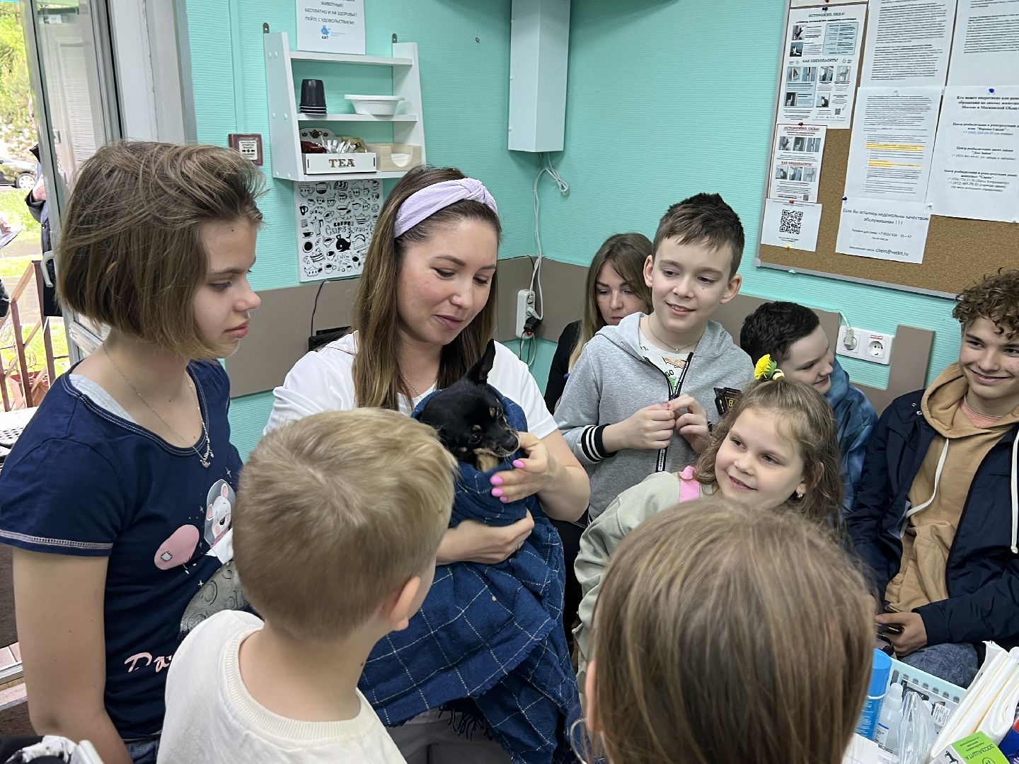 Химки, общество, ветеринар, домашнее животное, ветклиника