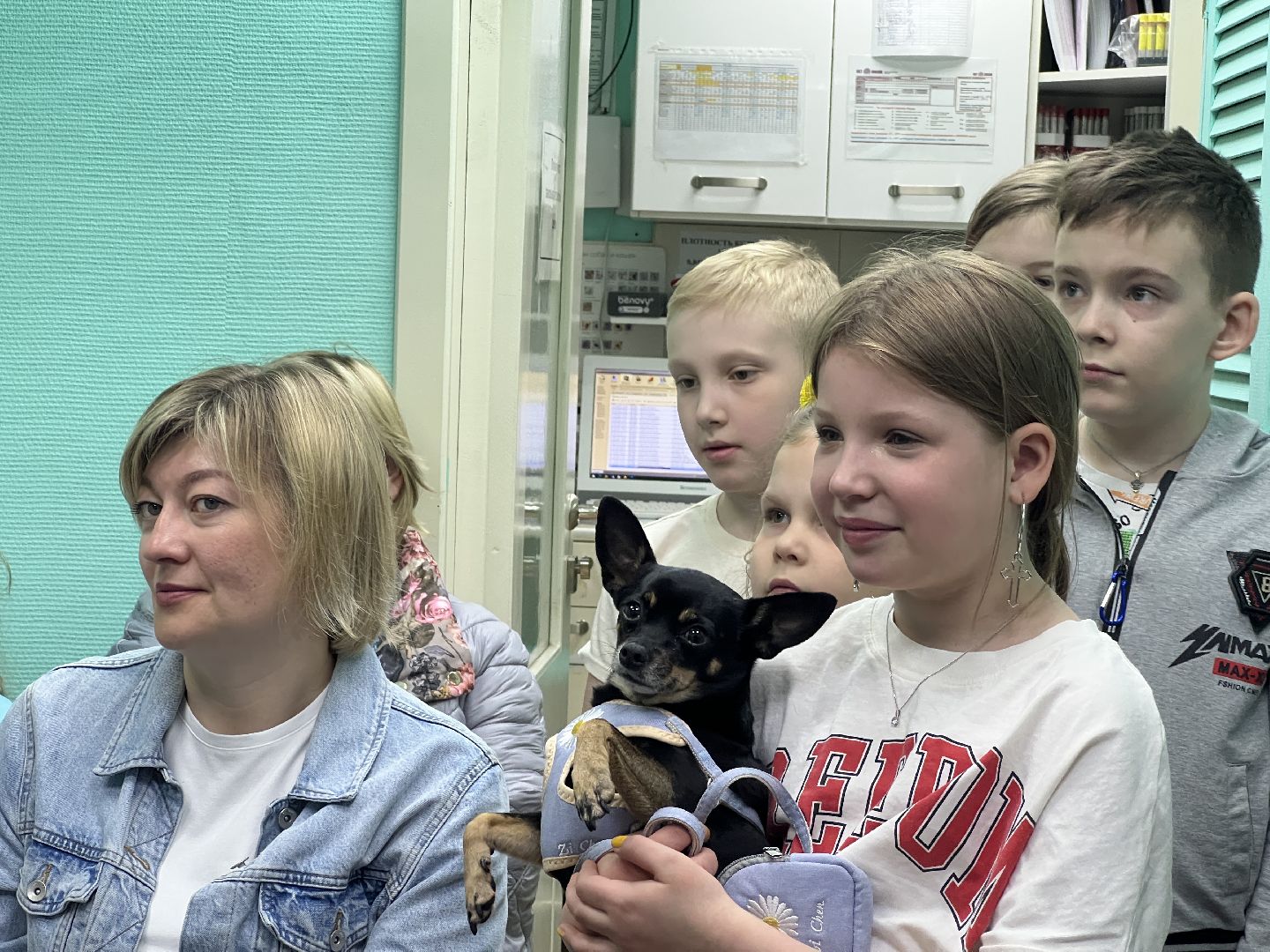 Химки, общество, ветеринар, домашнее животное, ветклиника