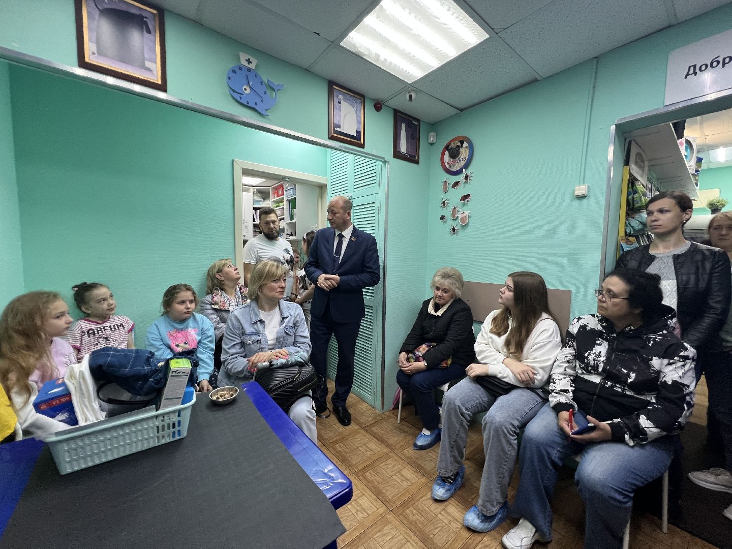 Химки, общество, ветеринар, домашнее животное, ветклиника