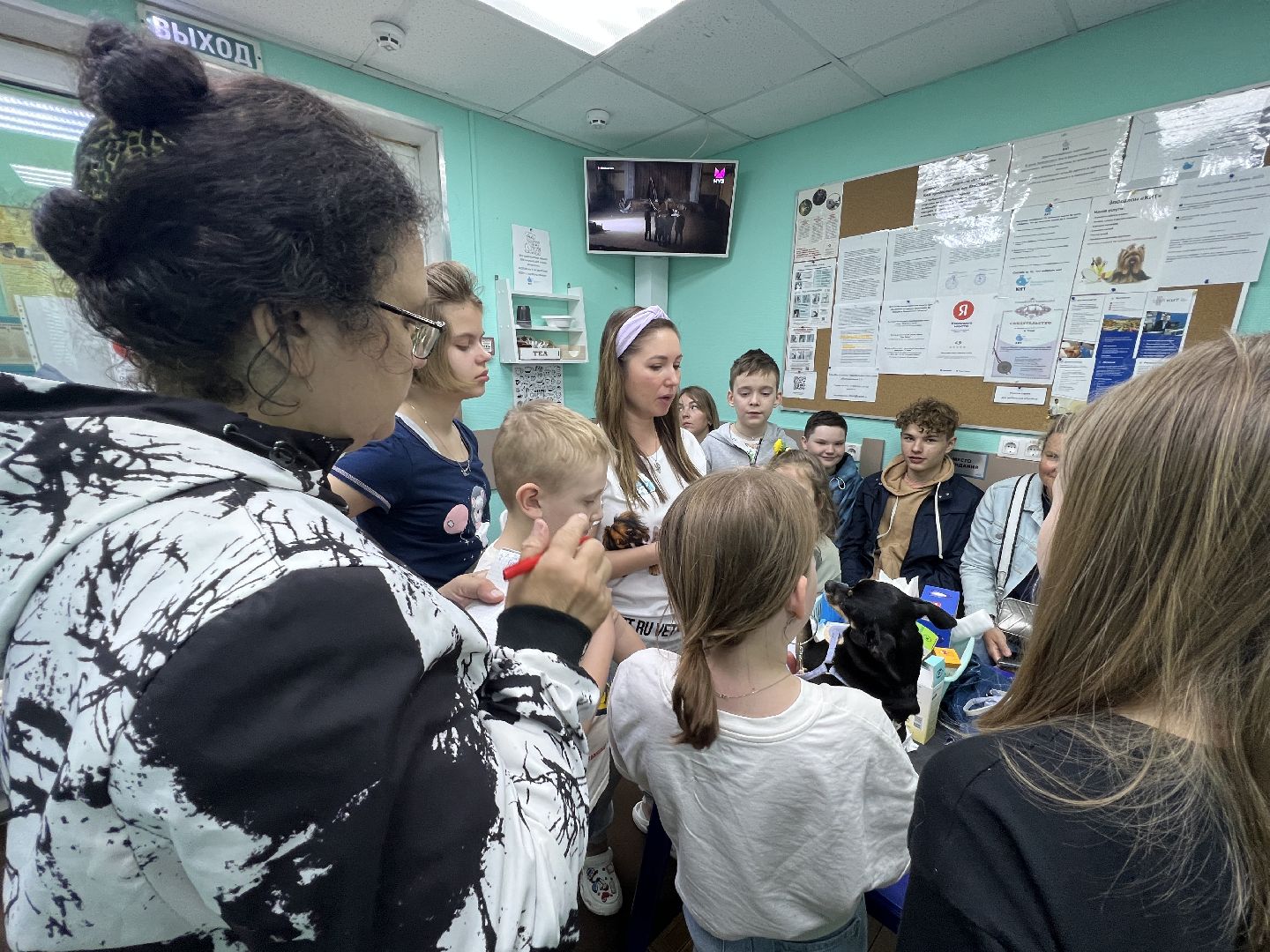 Химки, общество, ветеринар, домашнее животное, ветклиника