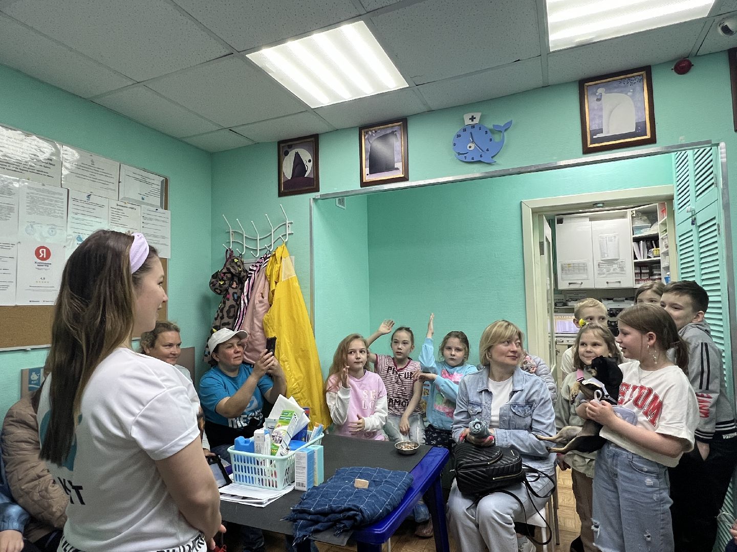 Химки, общество, ветеринар, домашнее животное, ветклиника