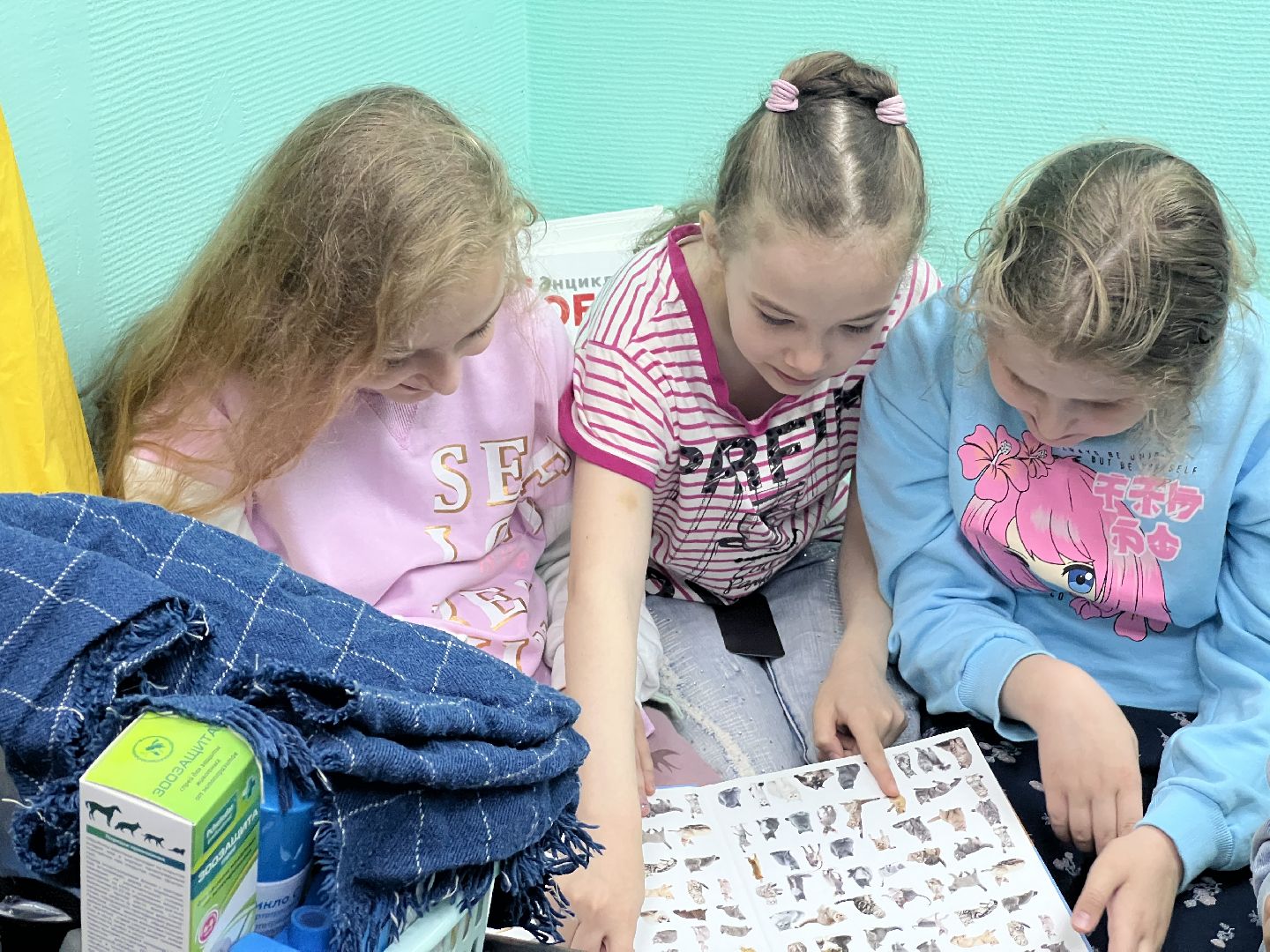 Химки, общество, ветеринар, домашнее животное, ветклиника