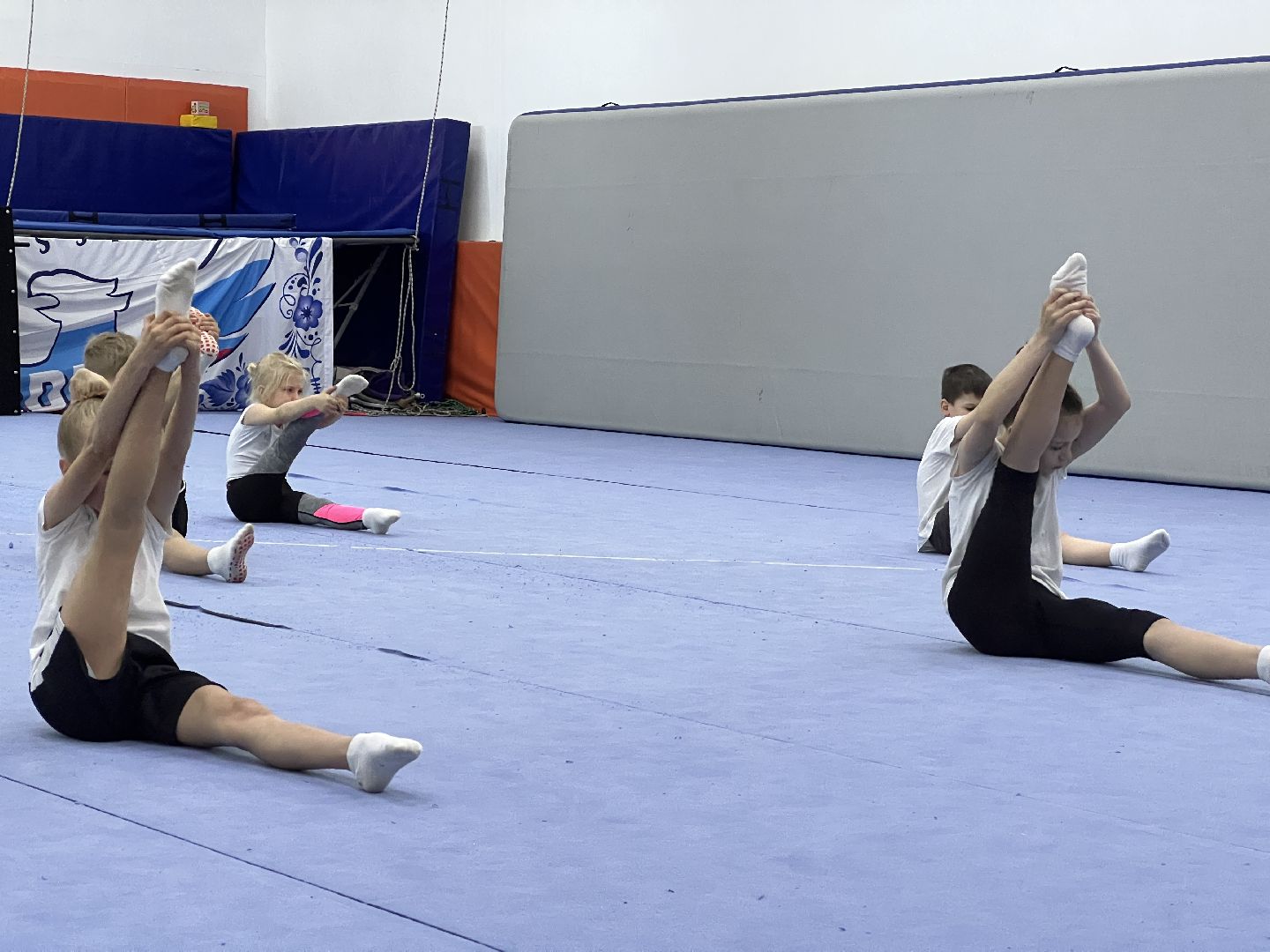 Химки, спорт, чирлидинг, спортивная школа