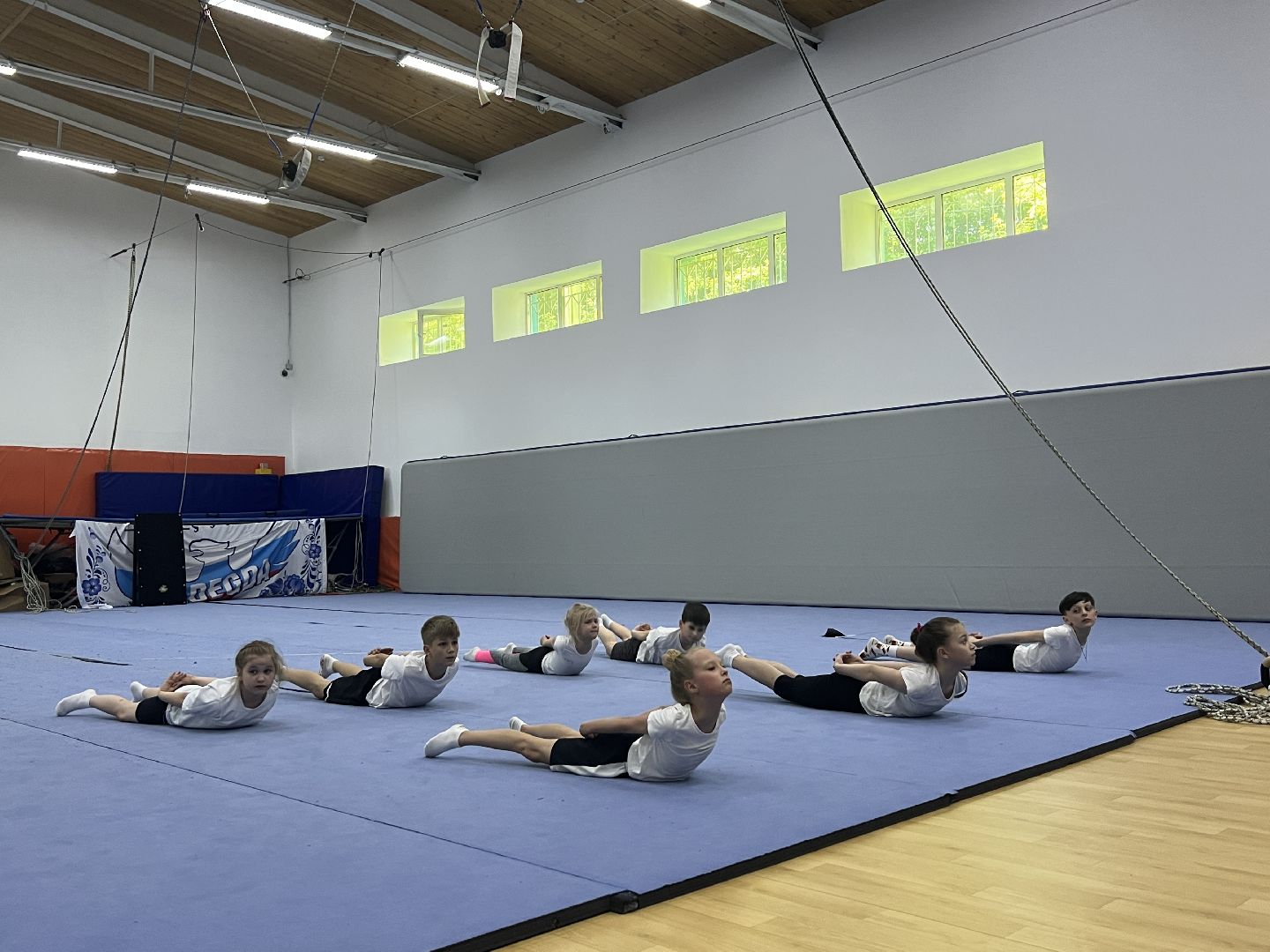 Химки, спорт, чирлидинг, спортивная школа