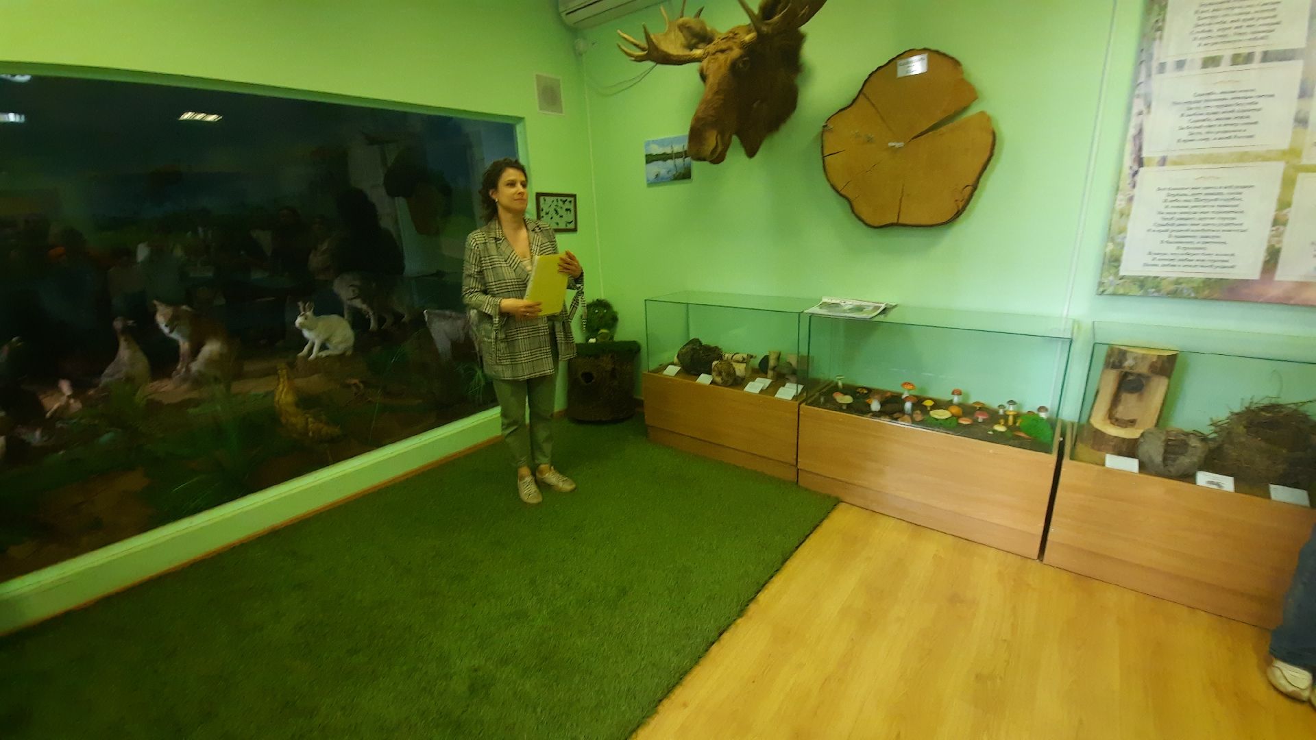 Шатура, Геккель, Музей, Могилевцева, выставка, награждение,