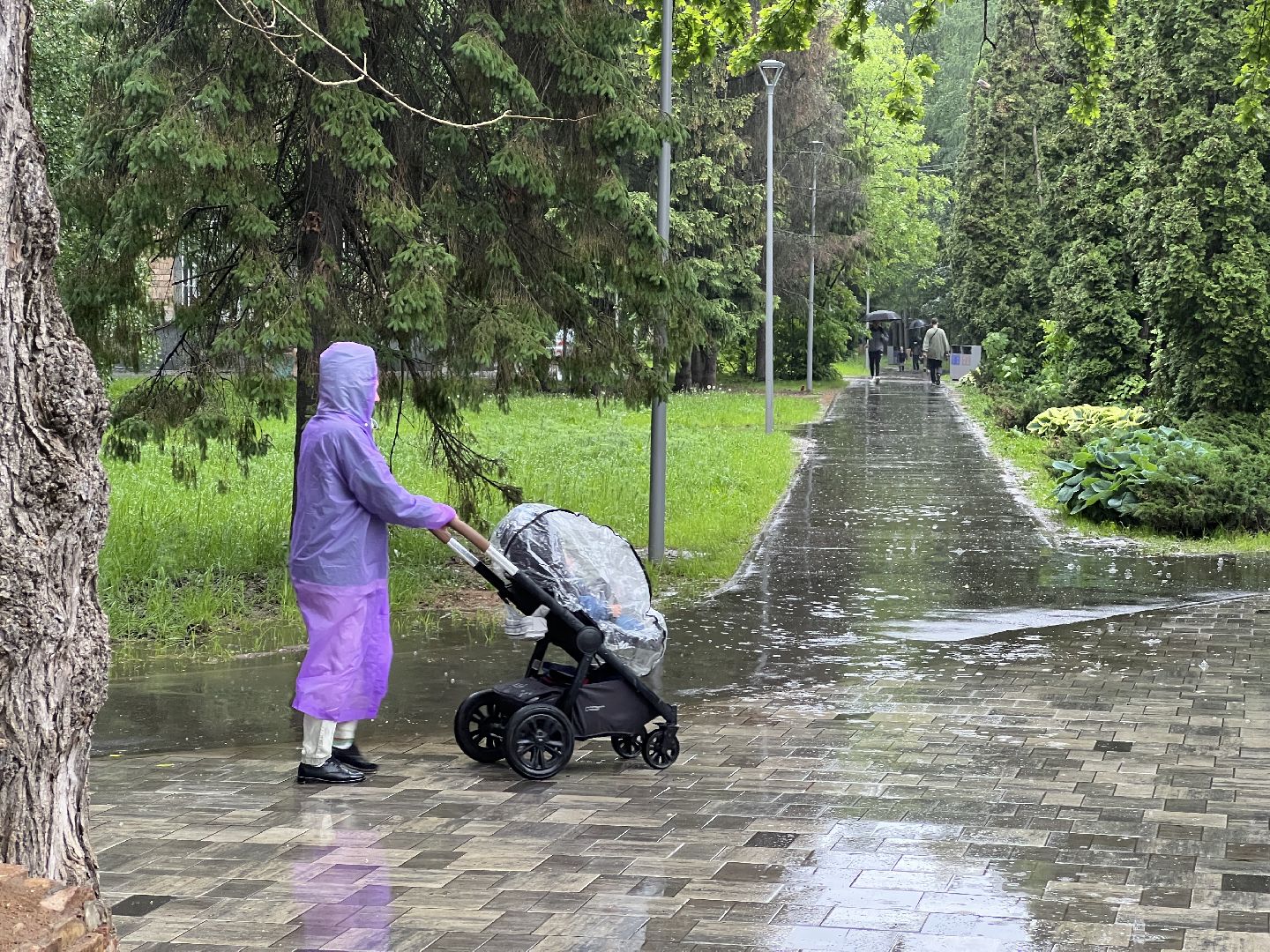 Химки, благоустройство, голосование, парк