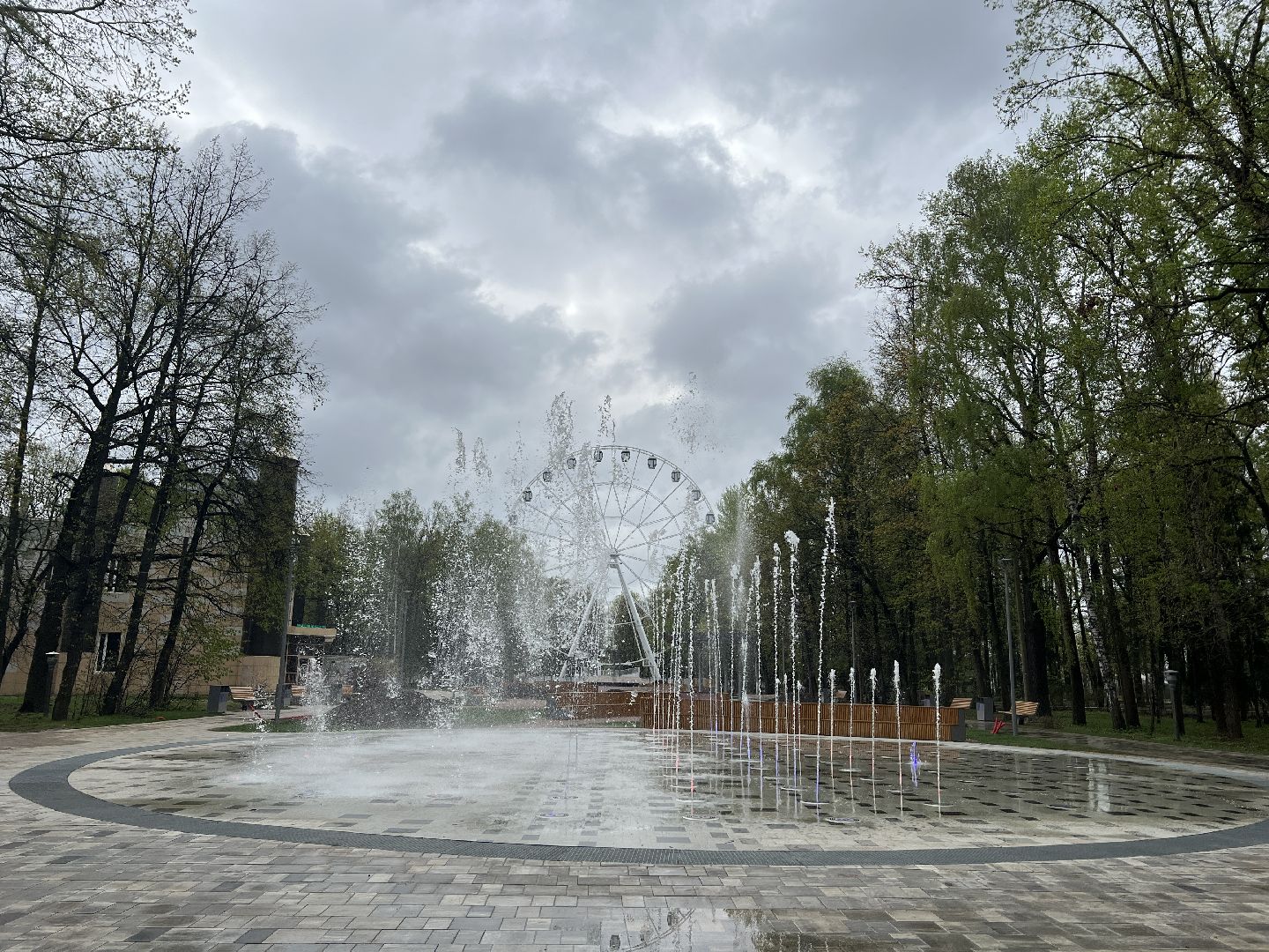 Химки, благоустройство, голосование, парк