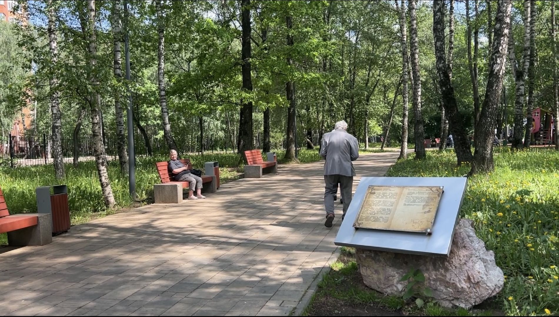 Химки, благоустройство, голосование, парк