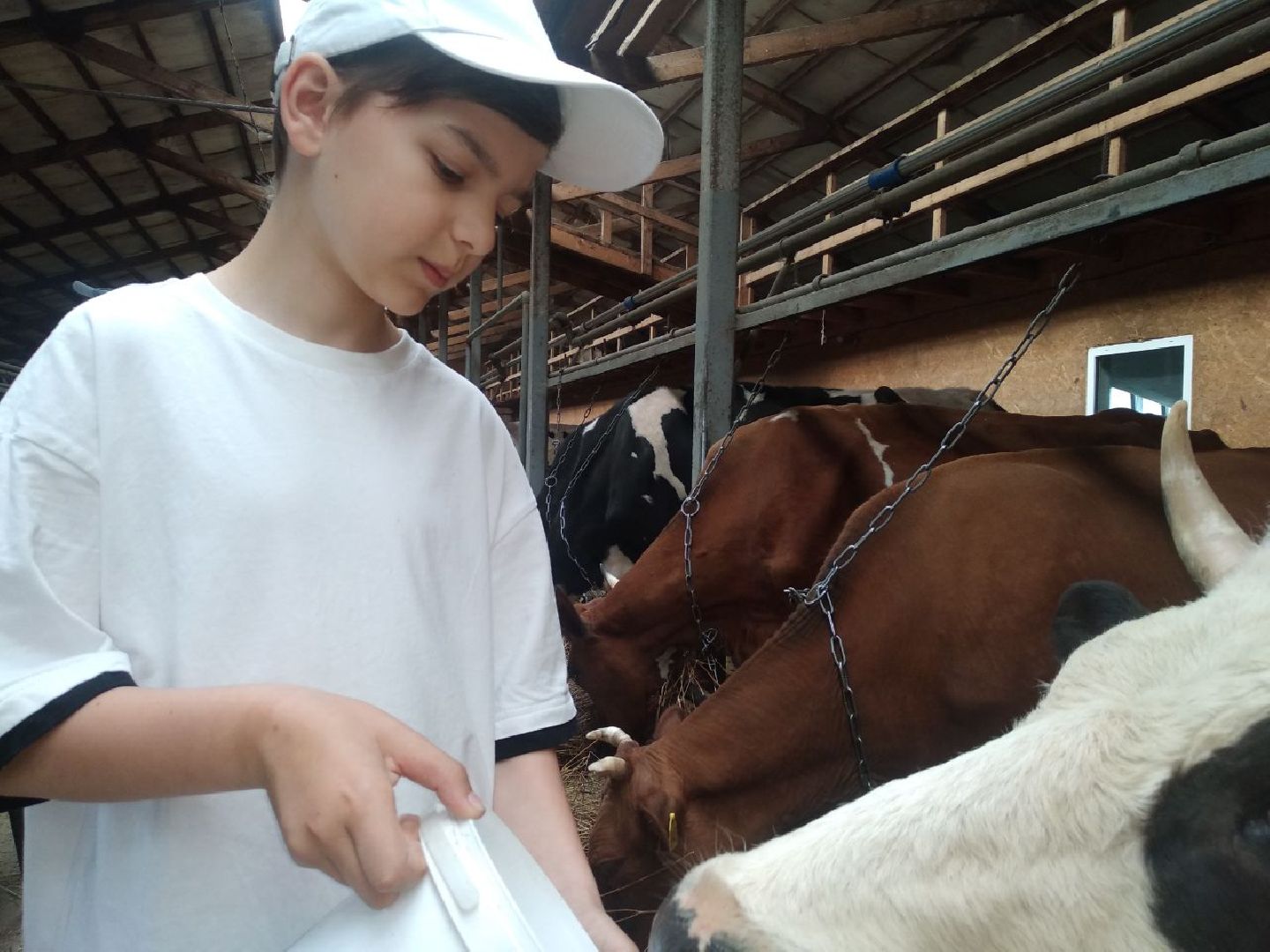 Дмитров, КФХ Свободный труд, ТПП РФ