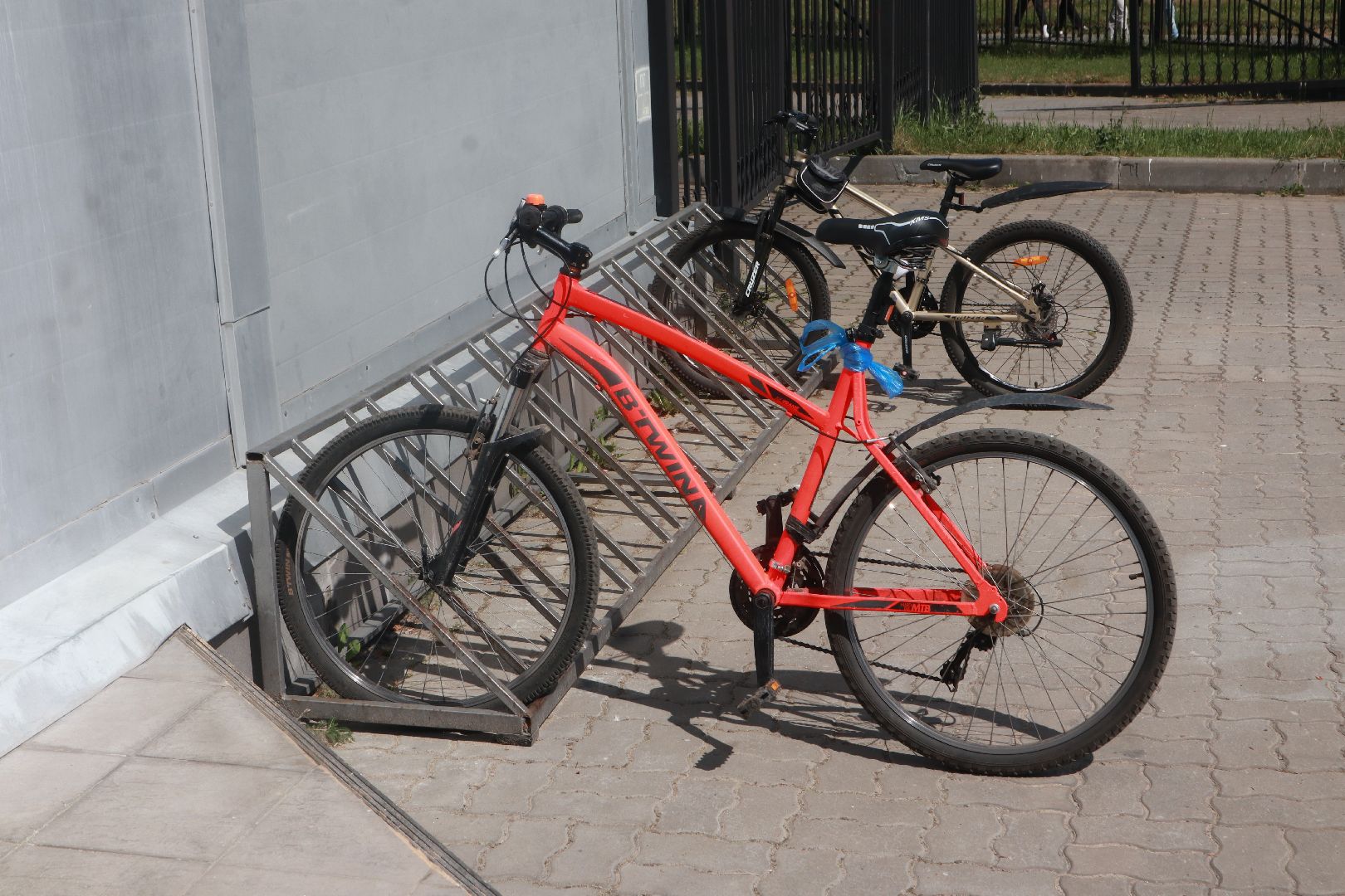 Пущино, Активное долголетие, спорт