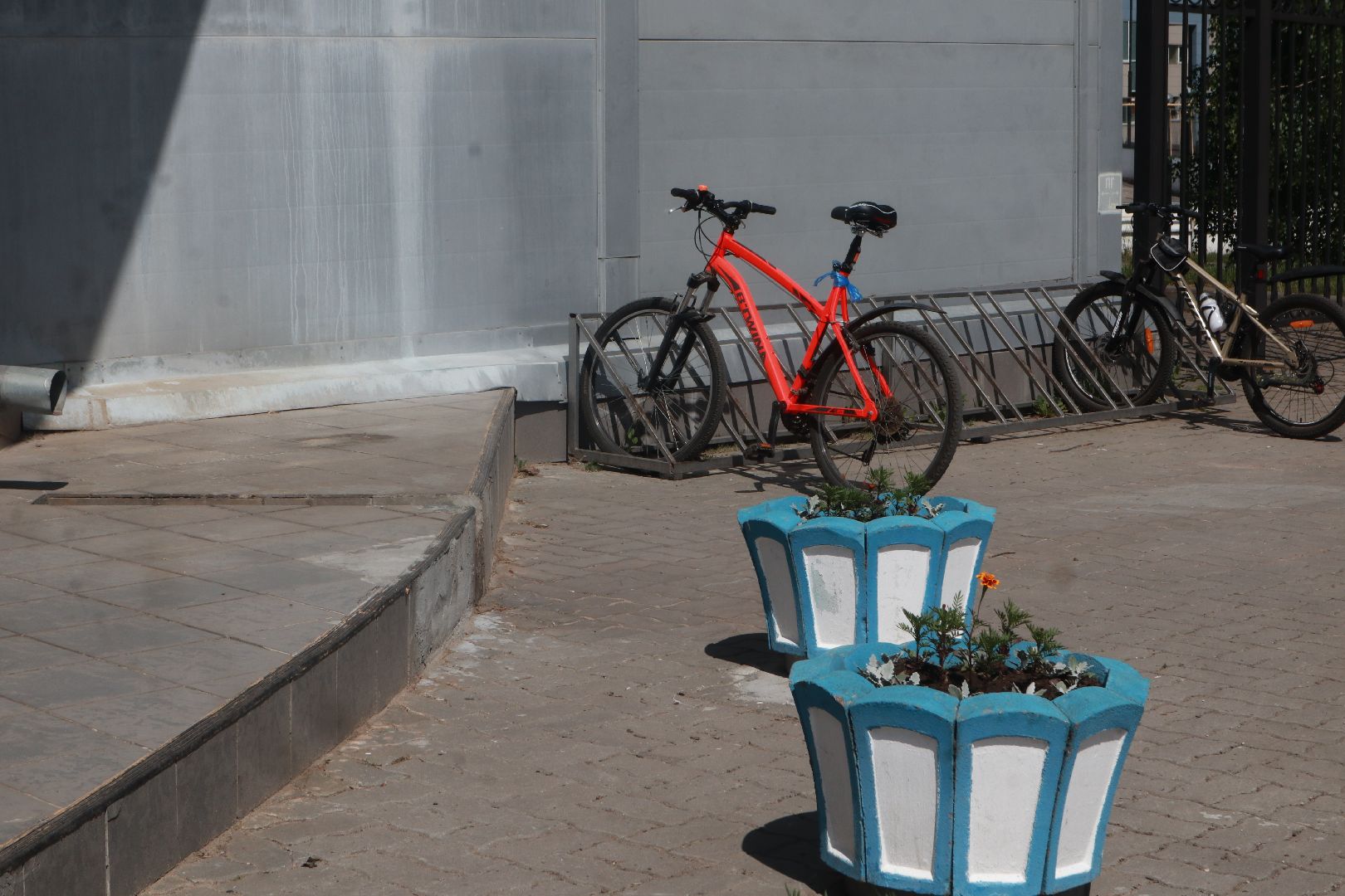 Пущино, Активное долголетие, спорт