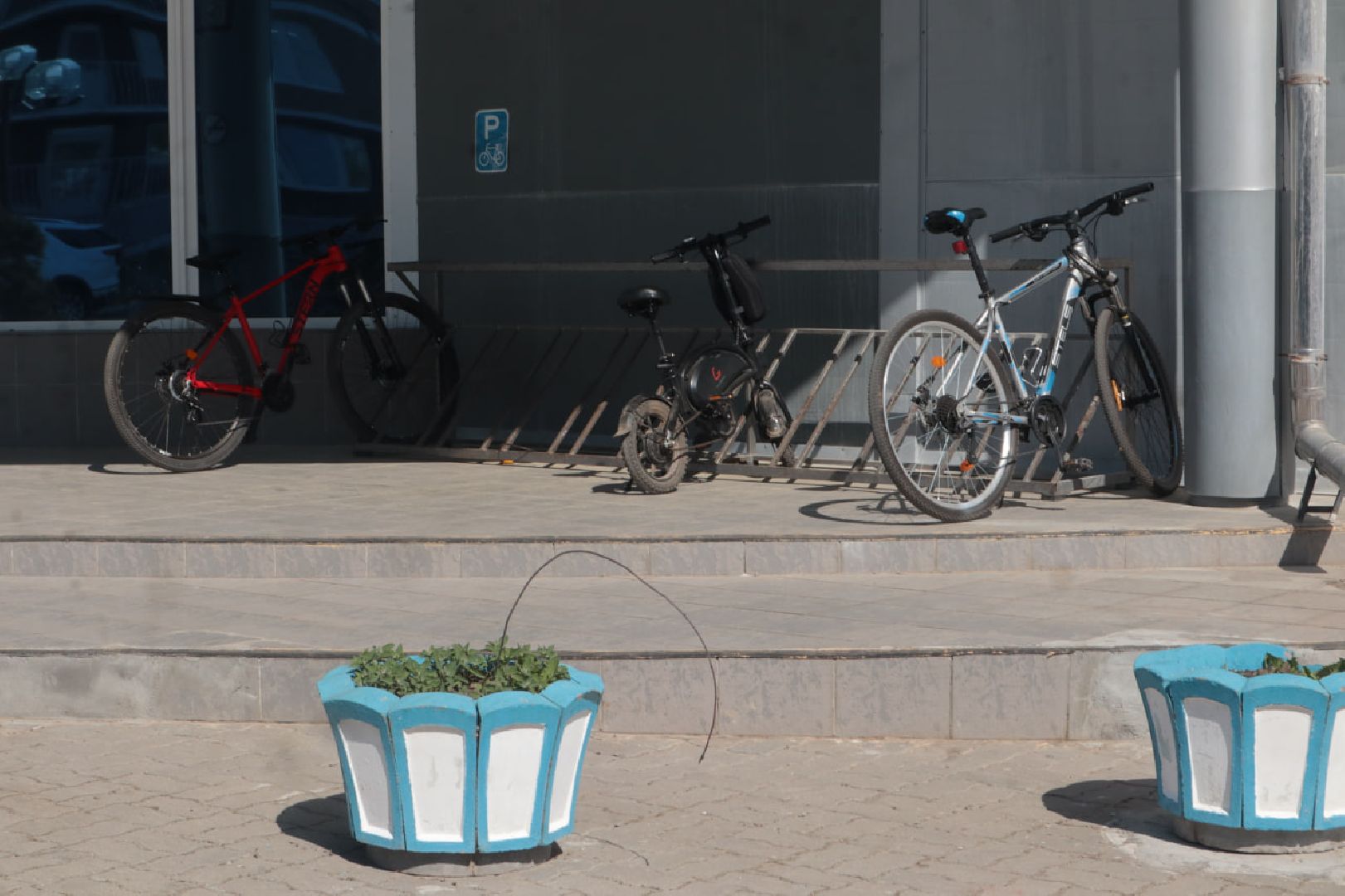 Пущино, Активное долголетие, спорт