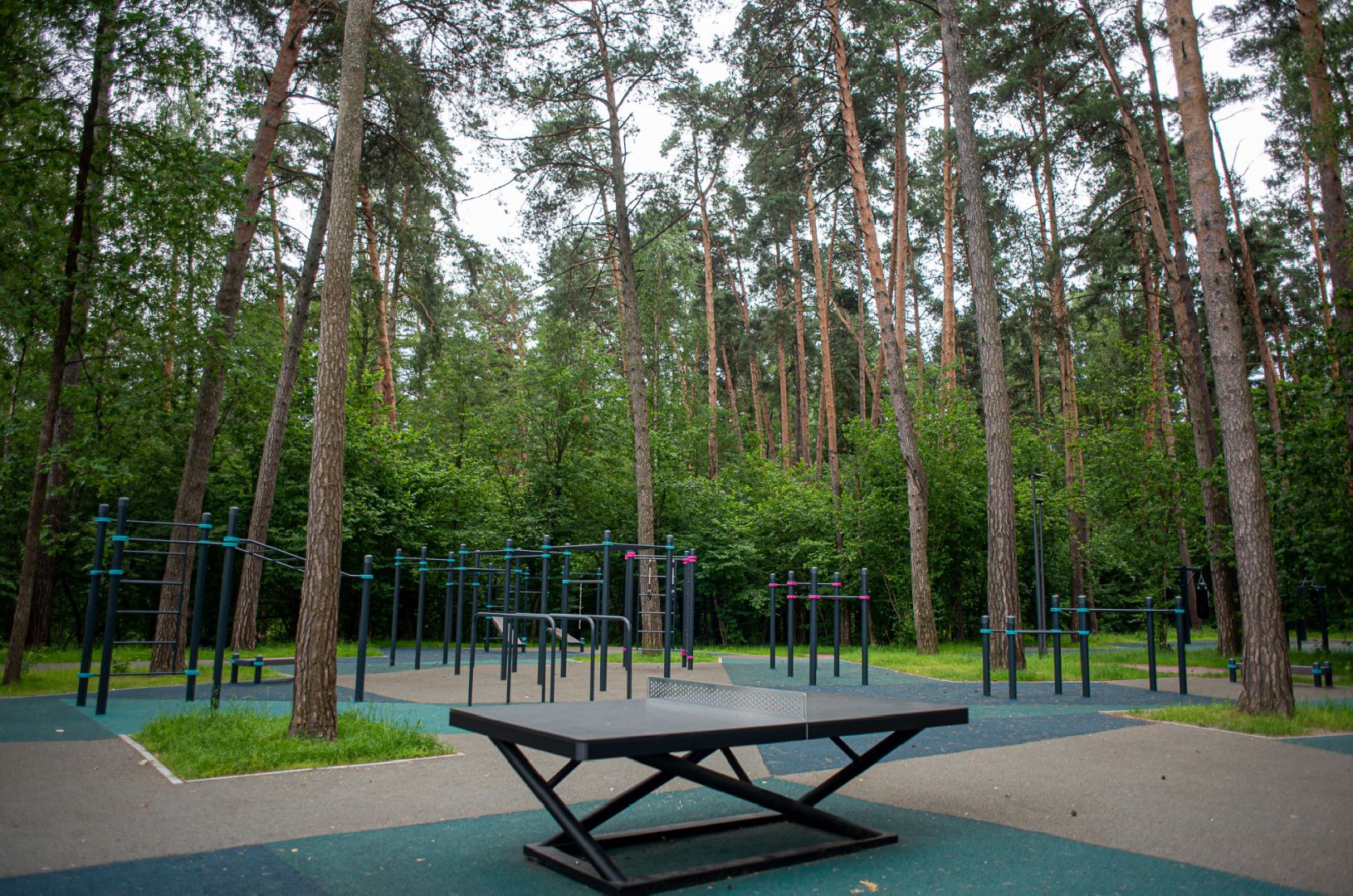 Одинцовский округ, благоустройство, парк, Раздолье, Захарово, парк Малевича, парк имени Лазутиной, Звенигород, питьевые фонтаны, туалеты, скамейки, площадки для выгула собак, почистить водоём, спортивные объекты