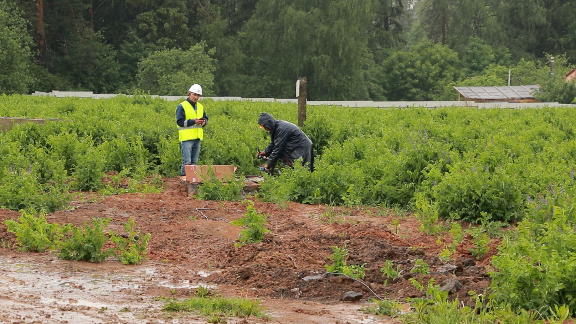 Солнечногорск, водоснабжение, сети, ремонт, капитальныйремонт