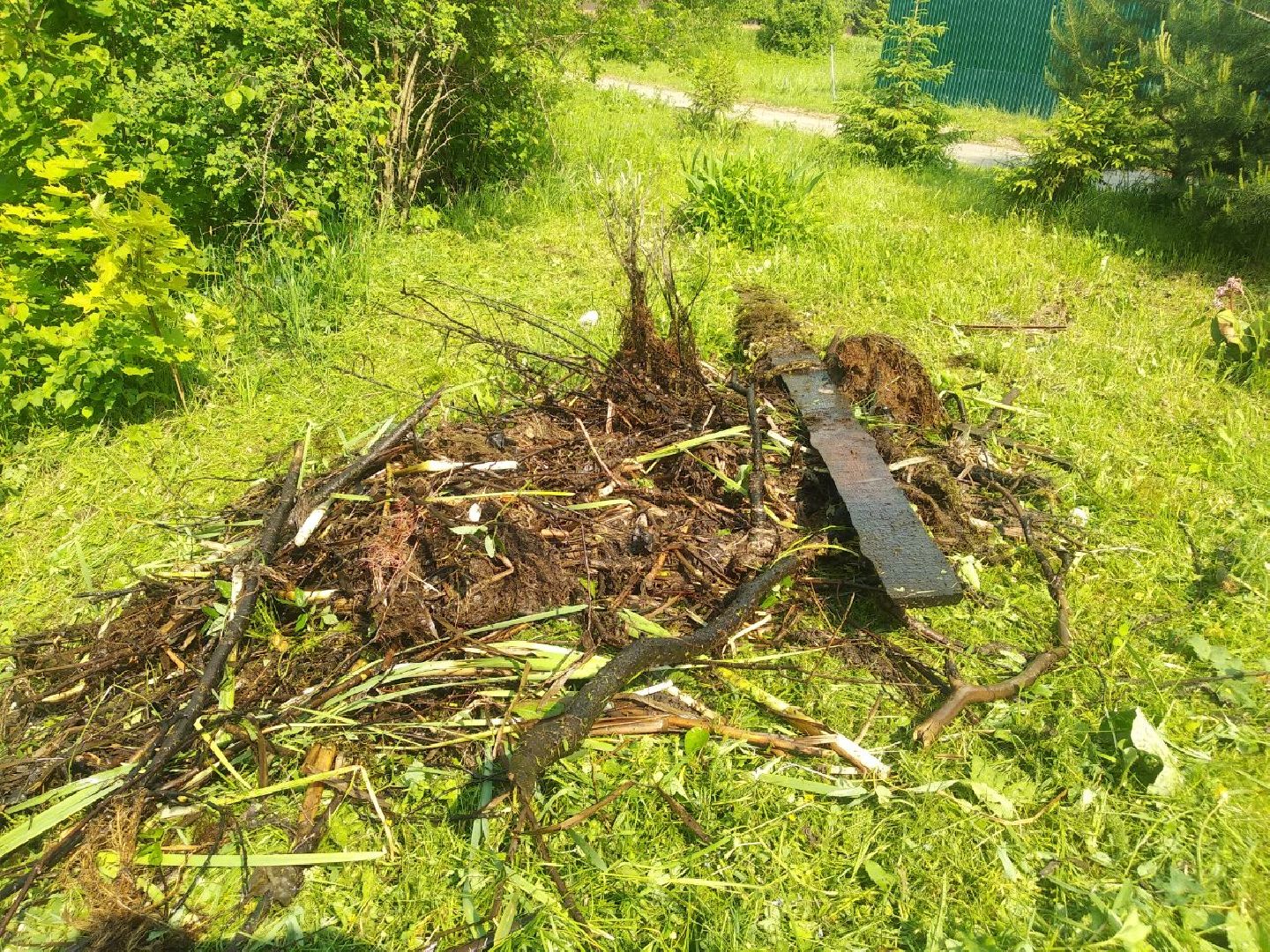 Дмитров, программа 100 прудов и озер, Мин благоустройства МО