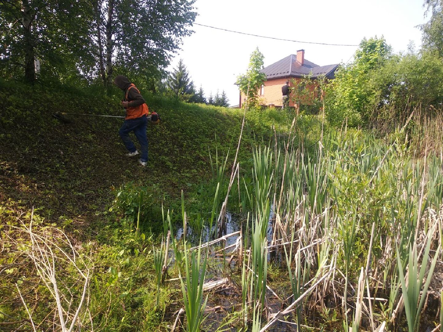 Дмитров, программа 100 прудов и озер, Мин благоустройства МО