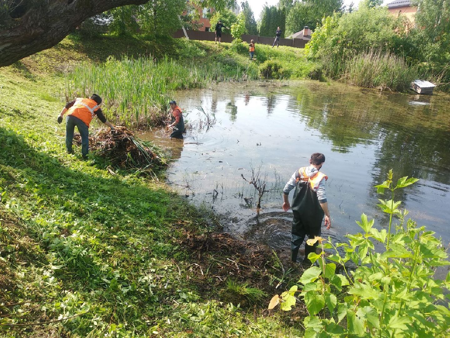 Дмитров, программа 100 прудов и озер, Мин благоустройства МО