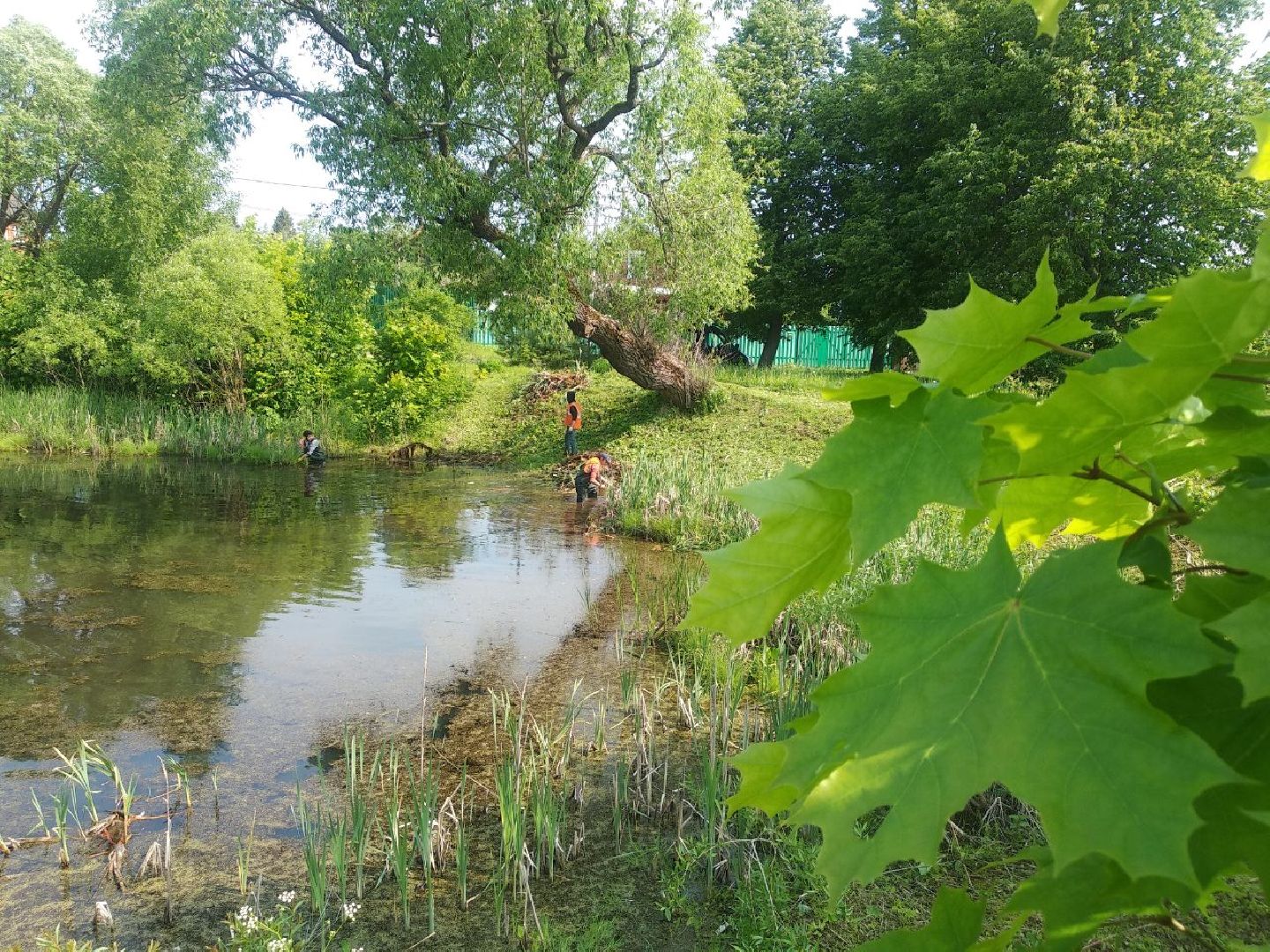Дмитров, программа 100 прудов и озер, Мин благоустройства МО