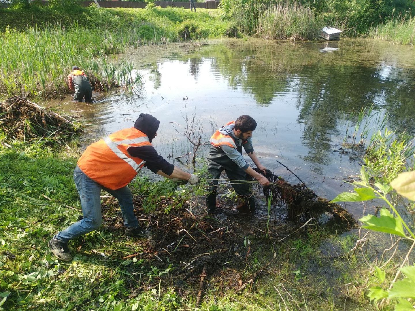 Дмитров, программа 100 прудов и озер, Мин благоустройства МО