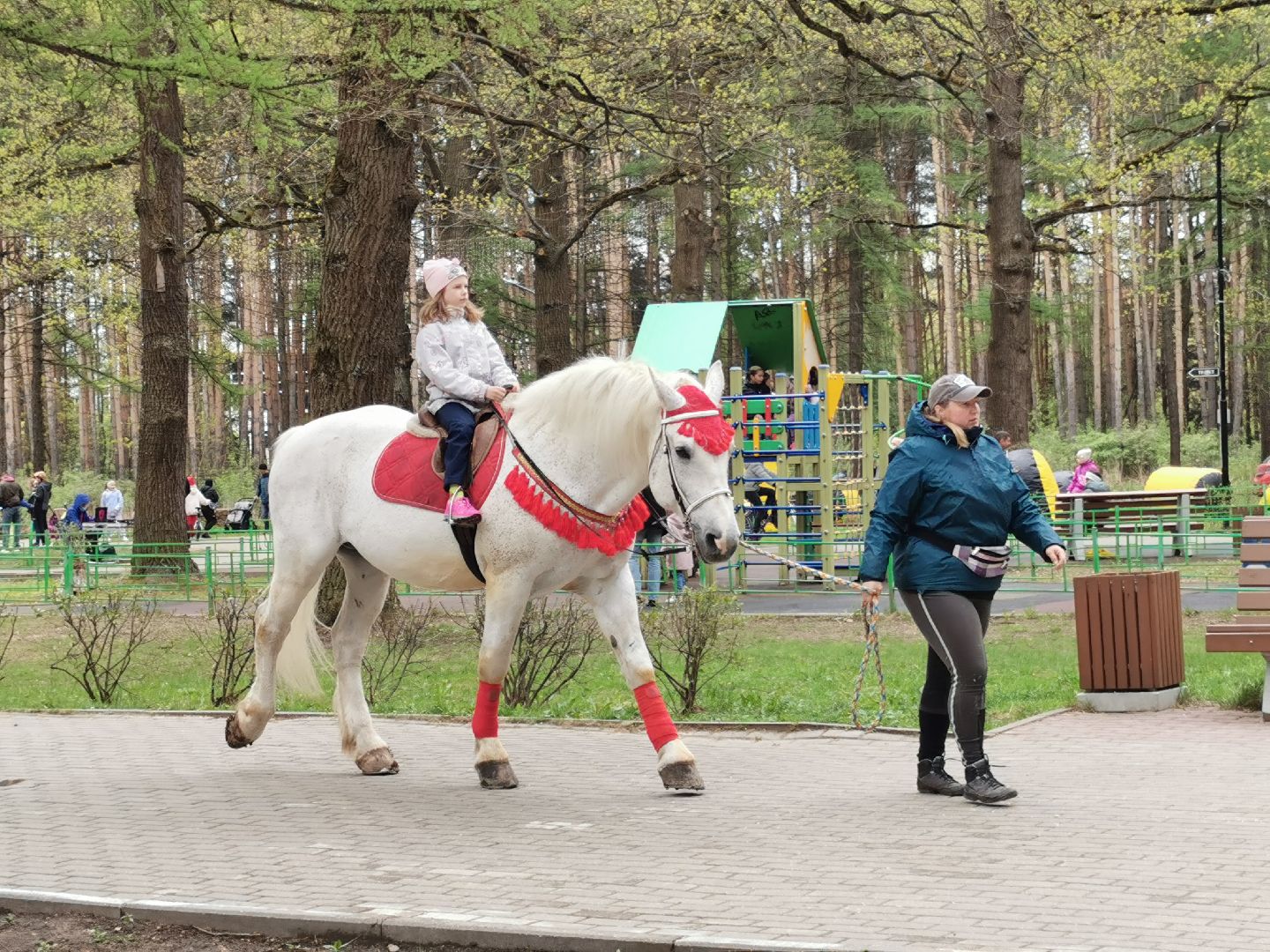 Подольск, парк