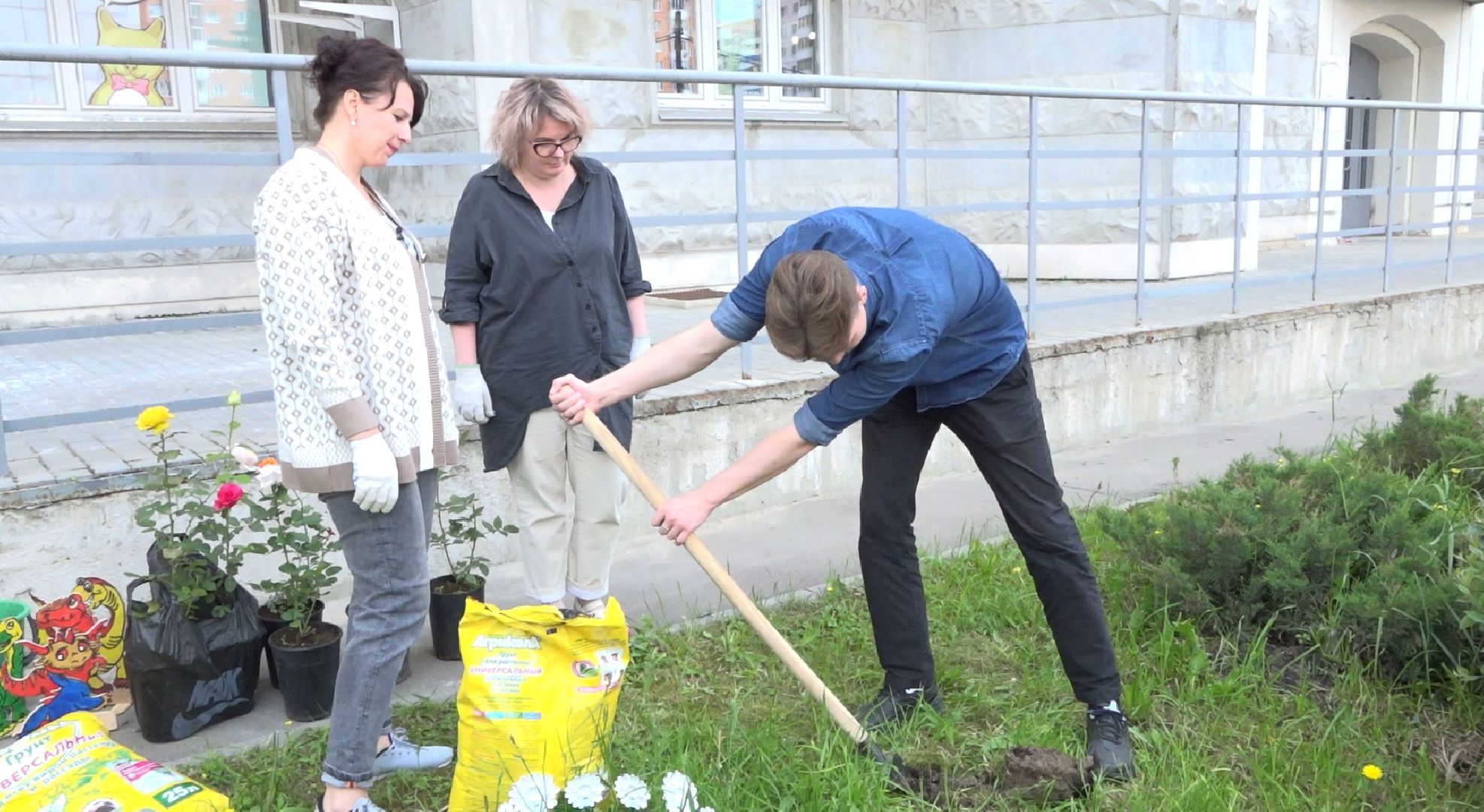 Пахринский, цветы, Домодедово