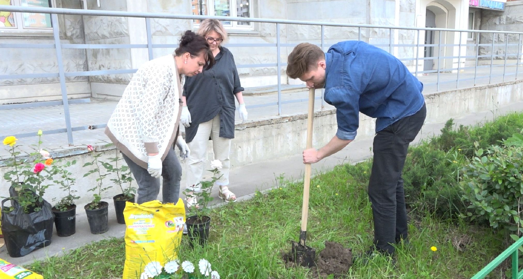 Пахринский, цветы, Домодедово