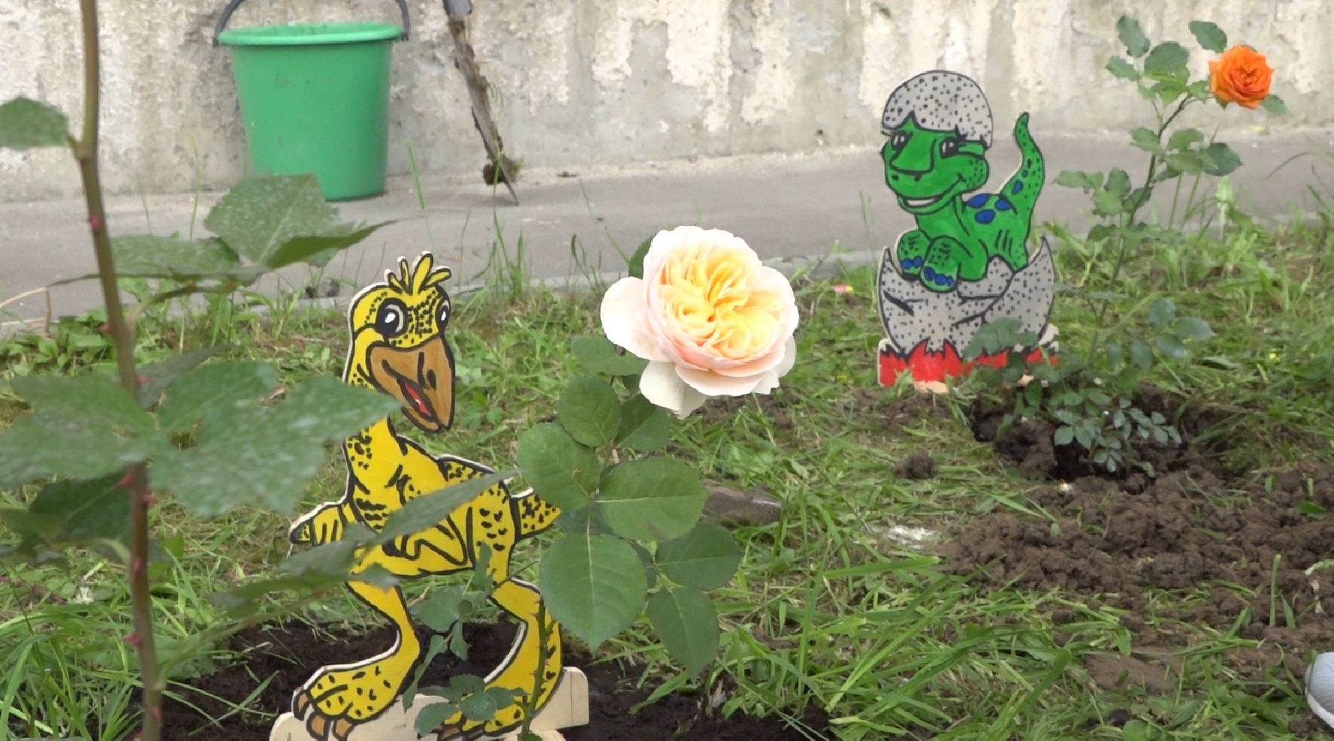 Пахринский, цветы, Домодедово