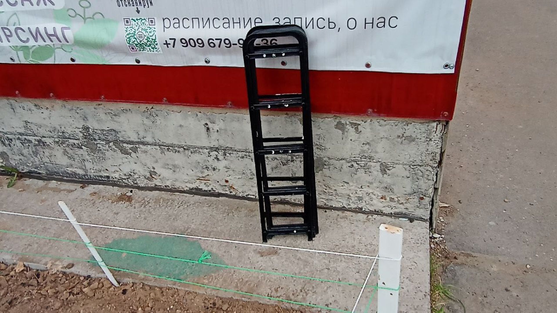 Балашиха, клумбы, цветы, растения, благоустройство, анютины глазки, бегония, петунья, люпин, гвоздика, роза