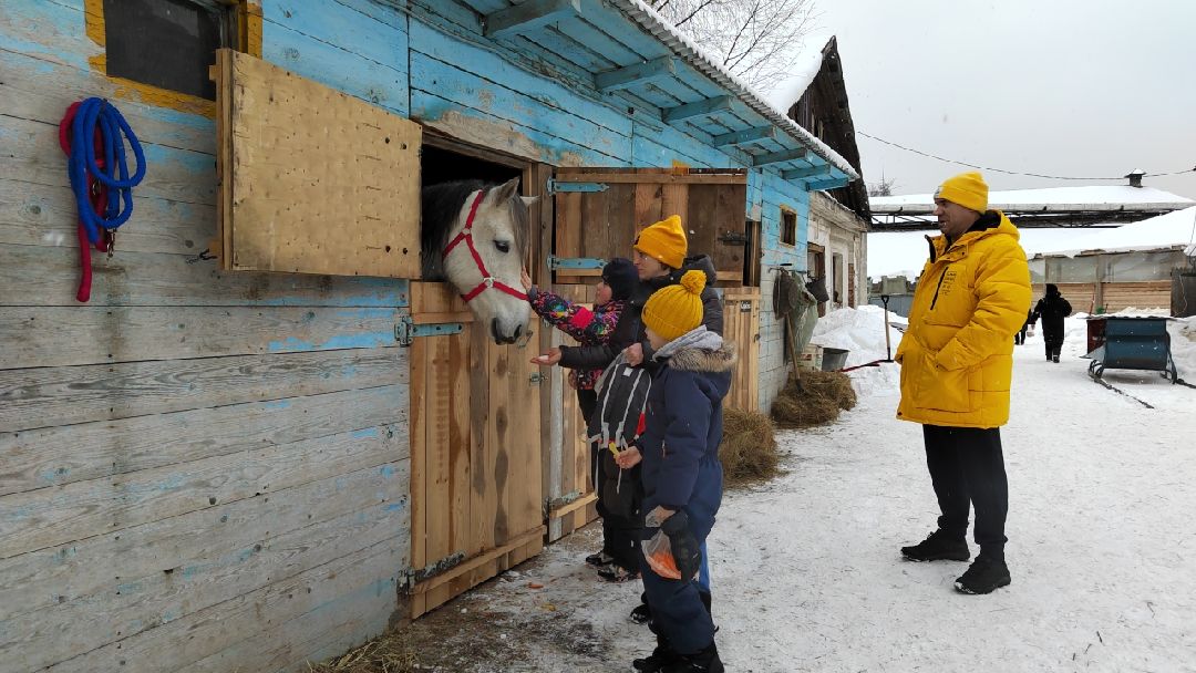 Пушкино, Пушкинский, волонтеры, особенные дети, многодетные, масленица, Зима в Подмосковье
