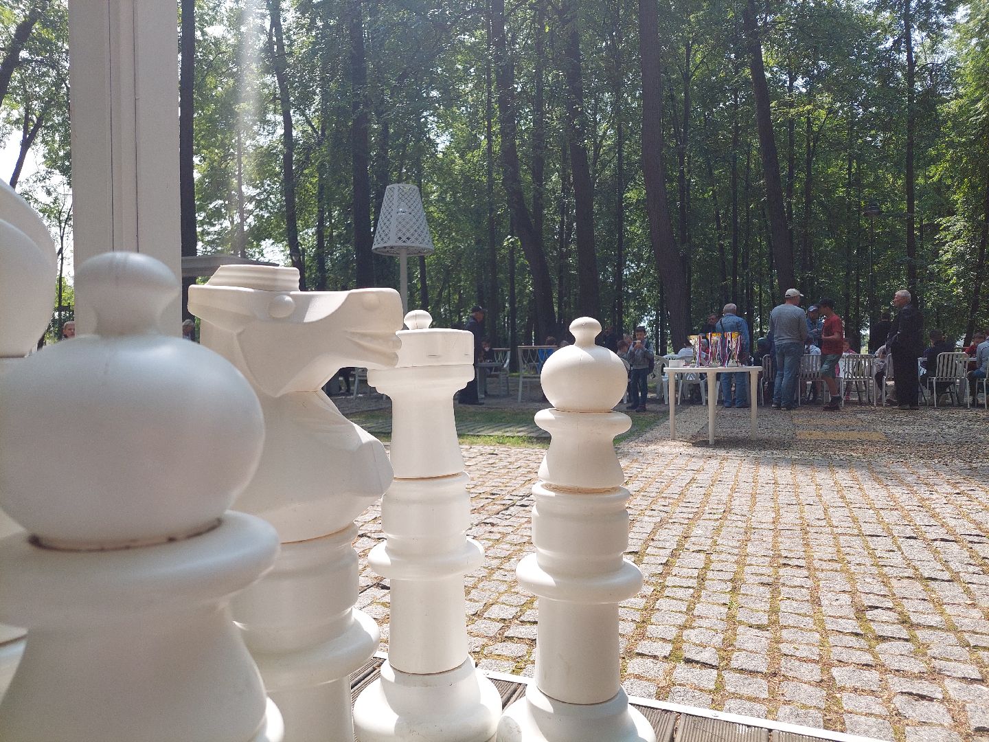 шахматный турнир, парк Кривякино, дети