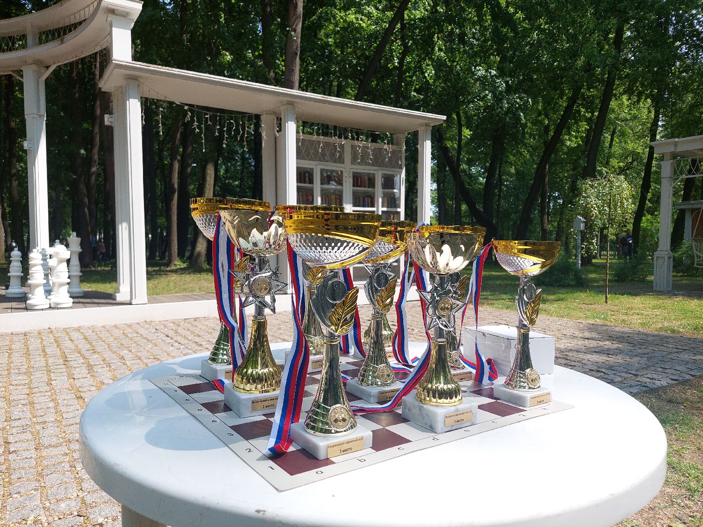 шахматный турнир, парк Кривякино, дети