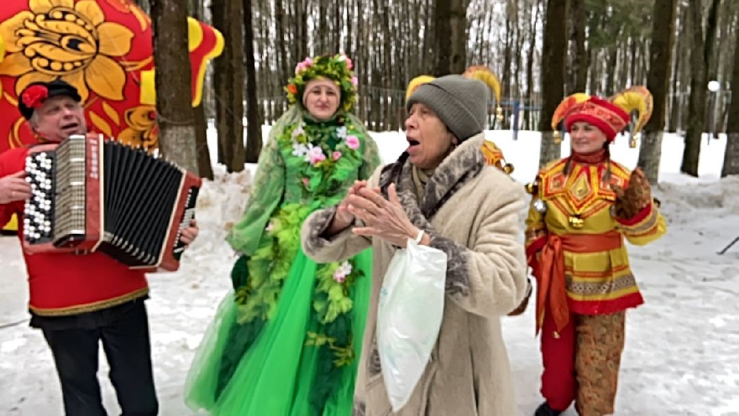 Волоколамск, культура, парк, Масленица, выступление, артисты, Зима в Подмосковье, концерт