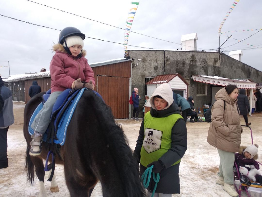 Дмитров, зооферма Шихово, Масленица, внутренний туризм
