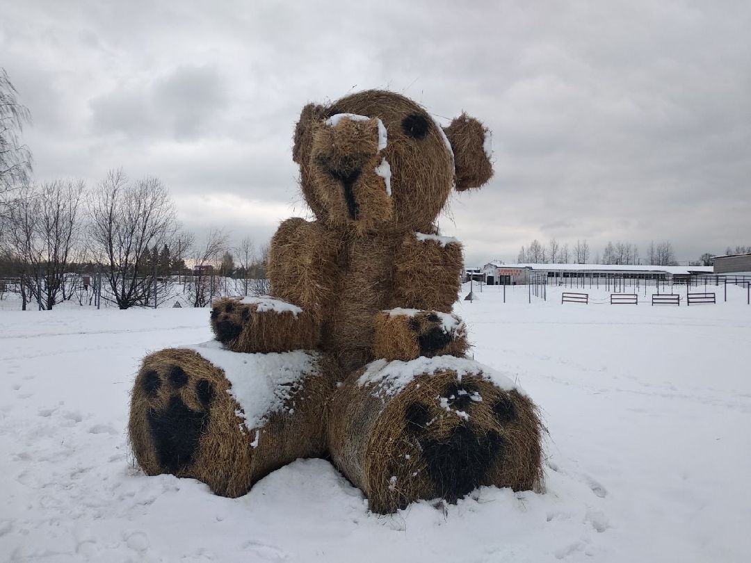 Дмитров, зооферма Шихово, Масленица, внутренний туризм