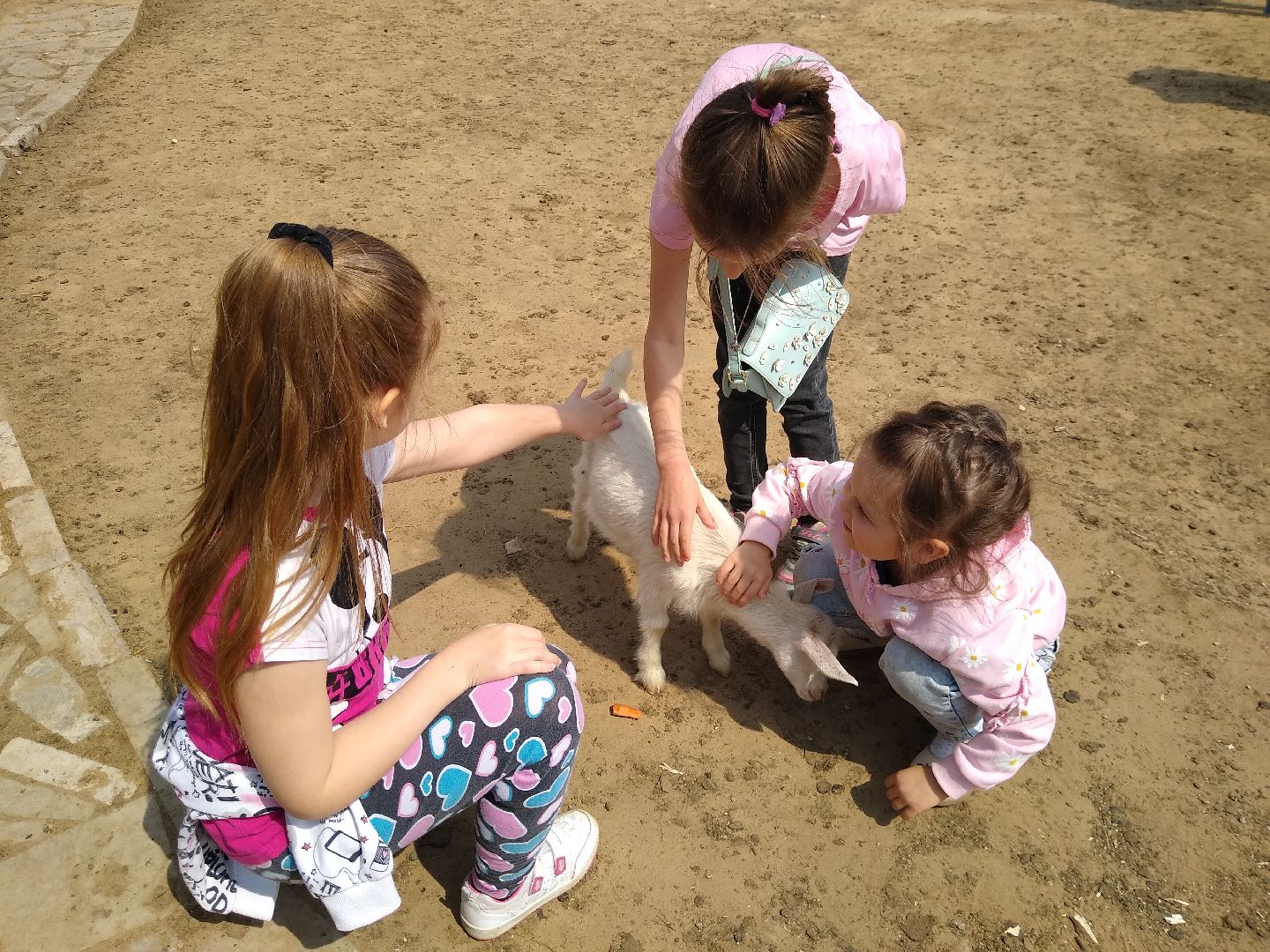 Раменское, экономика, праздник для детей на ферме в Заболотье